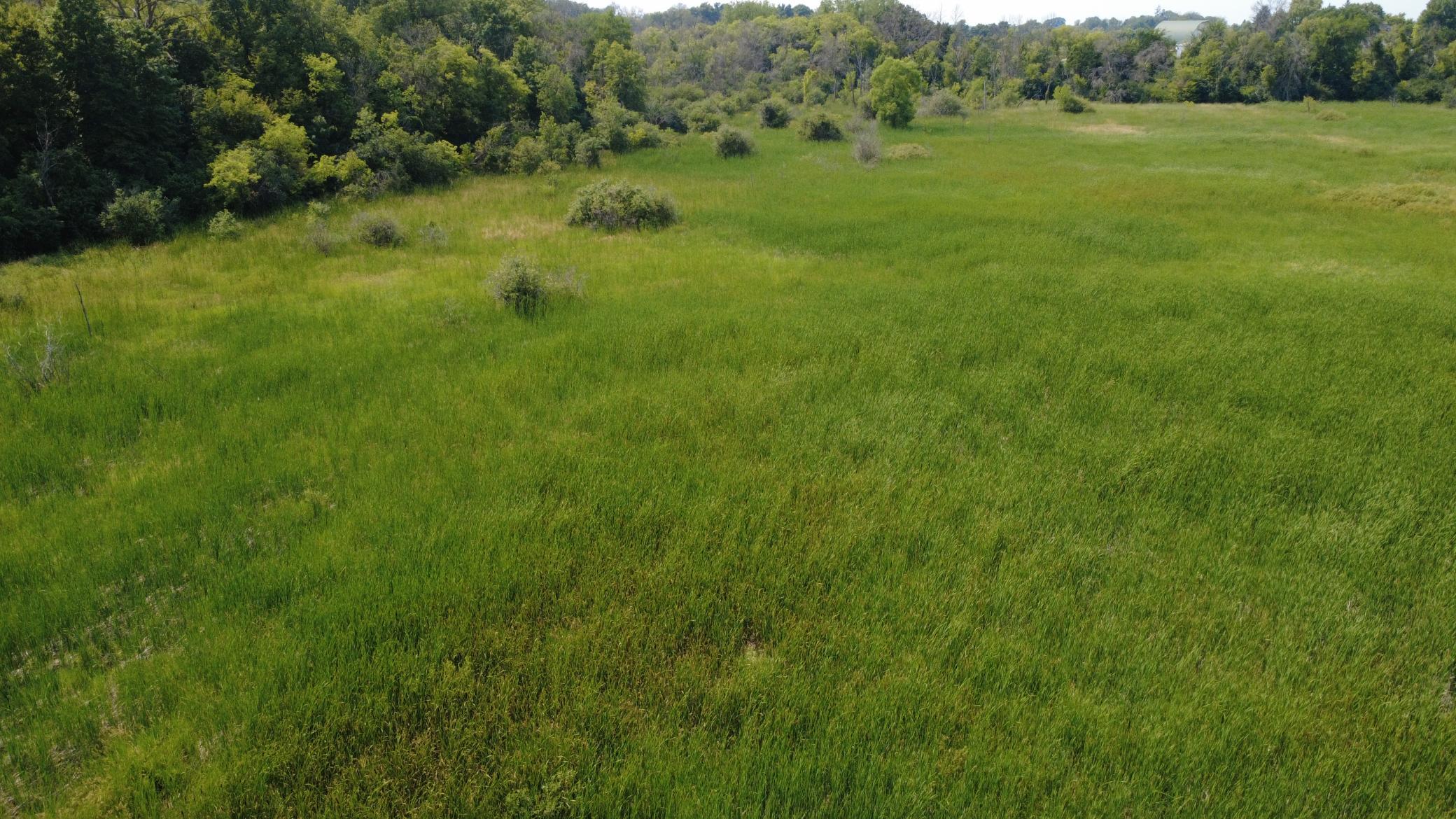 View of Land at XXX Ahern Avenue, Watertown MN 55388, Watertown (31 of 52) - Mike Wilen | Minnesota Team Real Estate