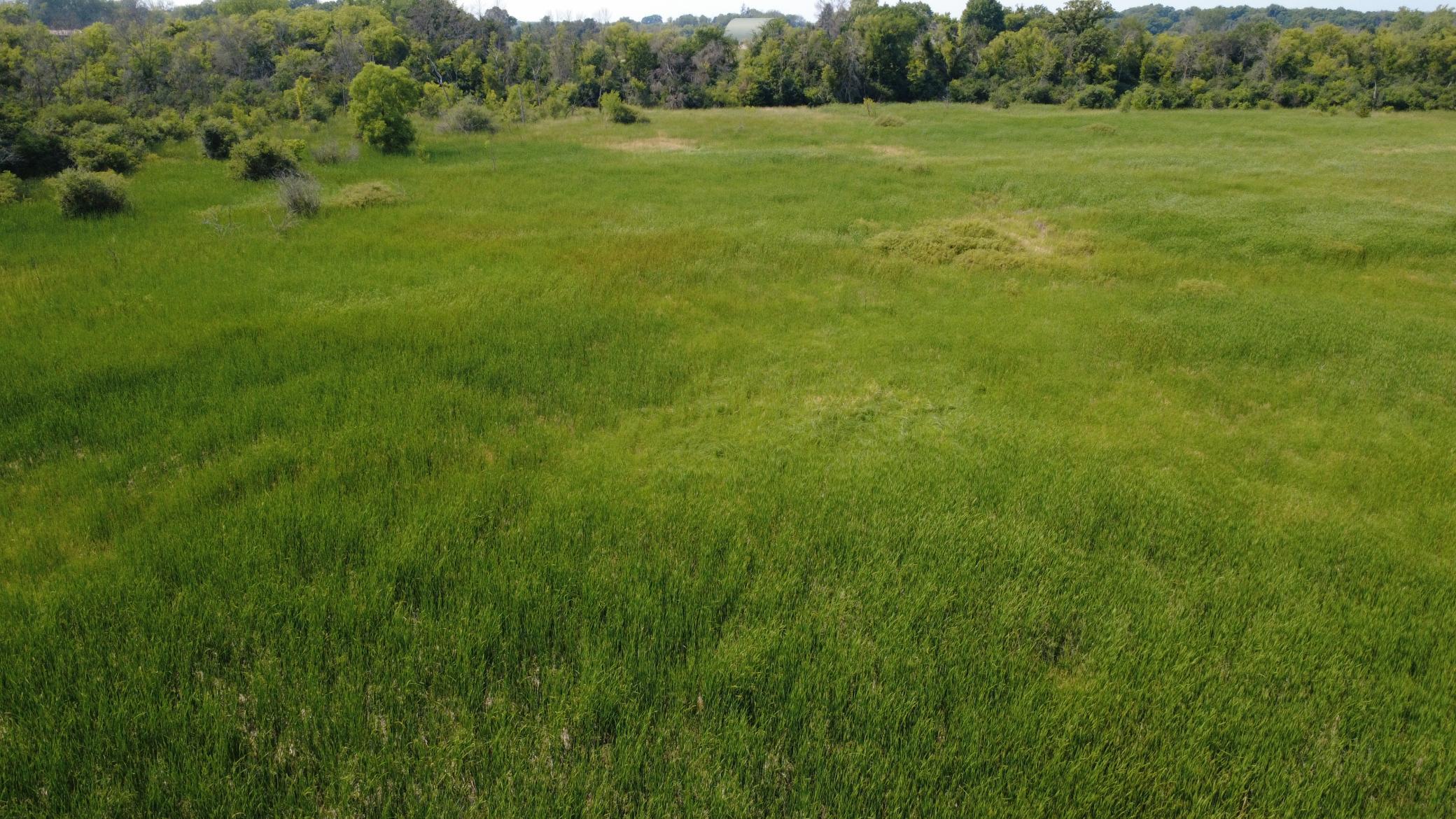 View of Land at XXX Ahern Avenue, Watertown MN 55388, Watertown (30 of 52) - Mike Wilen | Minnesota Team Real Estate