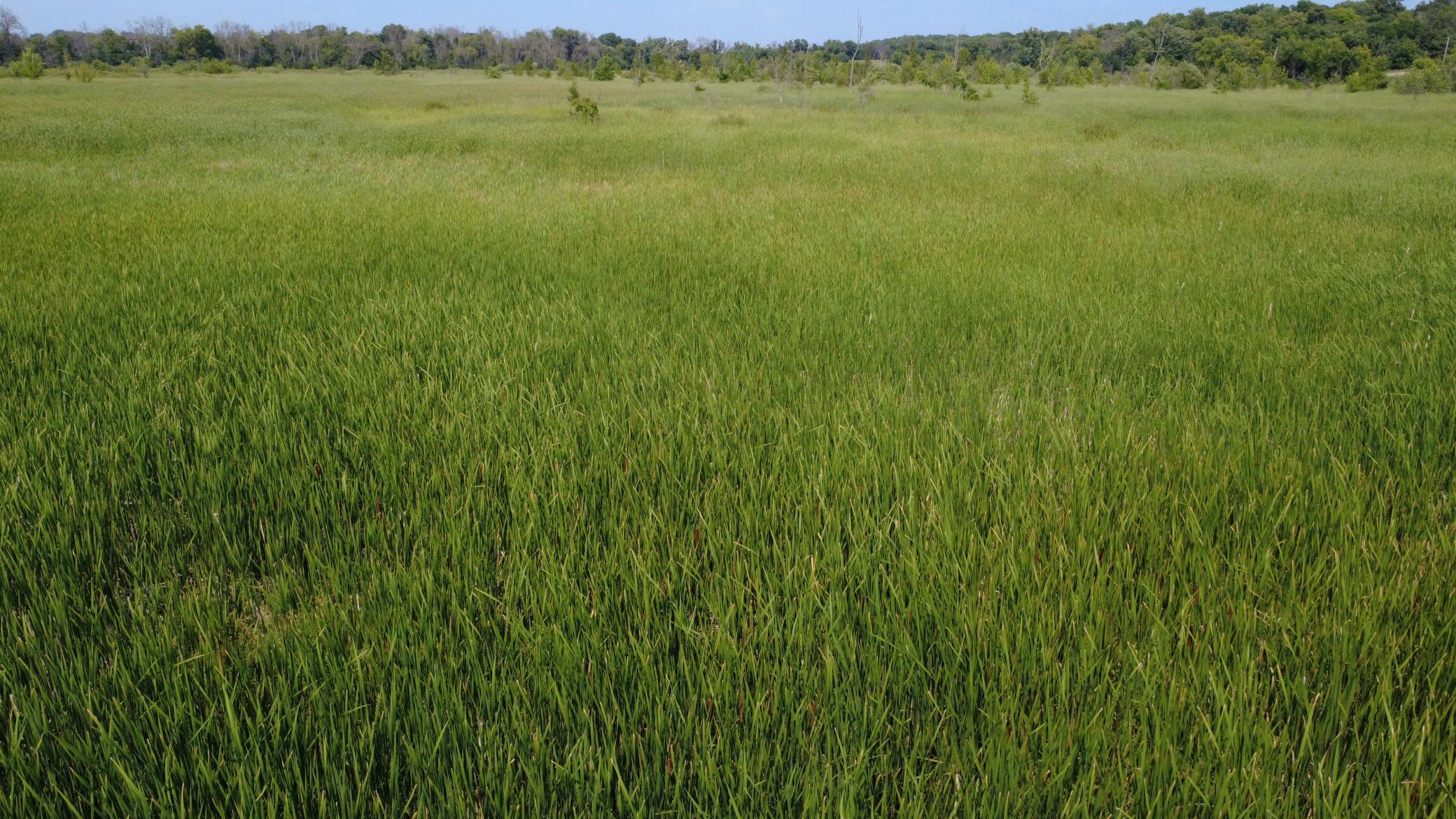 View of Land at XXX Ahern Avenue, Watertown MN 55388, Watertown (29 of 52) - Mike Wilen | Minnesota Team Real Estate