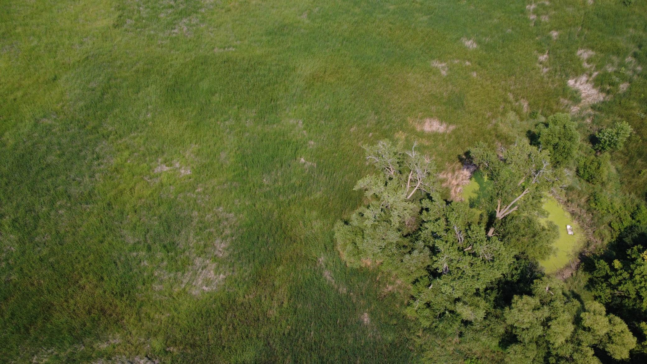 View of Land at XXX Ahern Avenue, Watertown MN 55388, Watertown (27 of 52) - Mike Wilen | Minnesota Team Real Estate