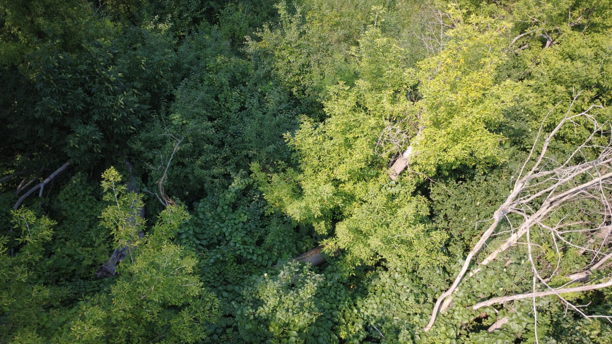 View of Land at XXX Ahern Avenue, Watertown MN 55388, Watertown (26 of 52) - Mike Wilen | Minnesota Team Real Estate