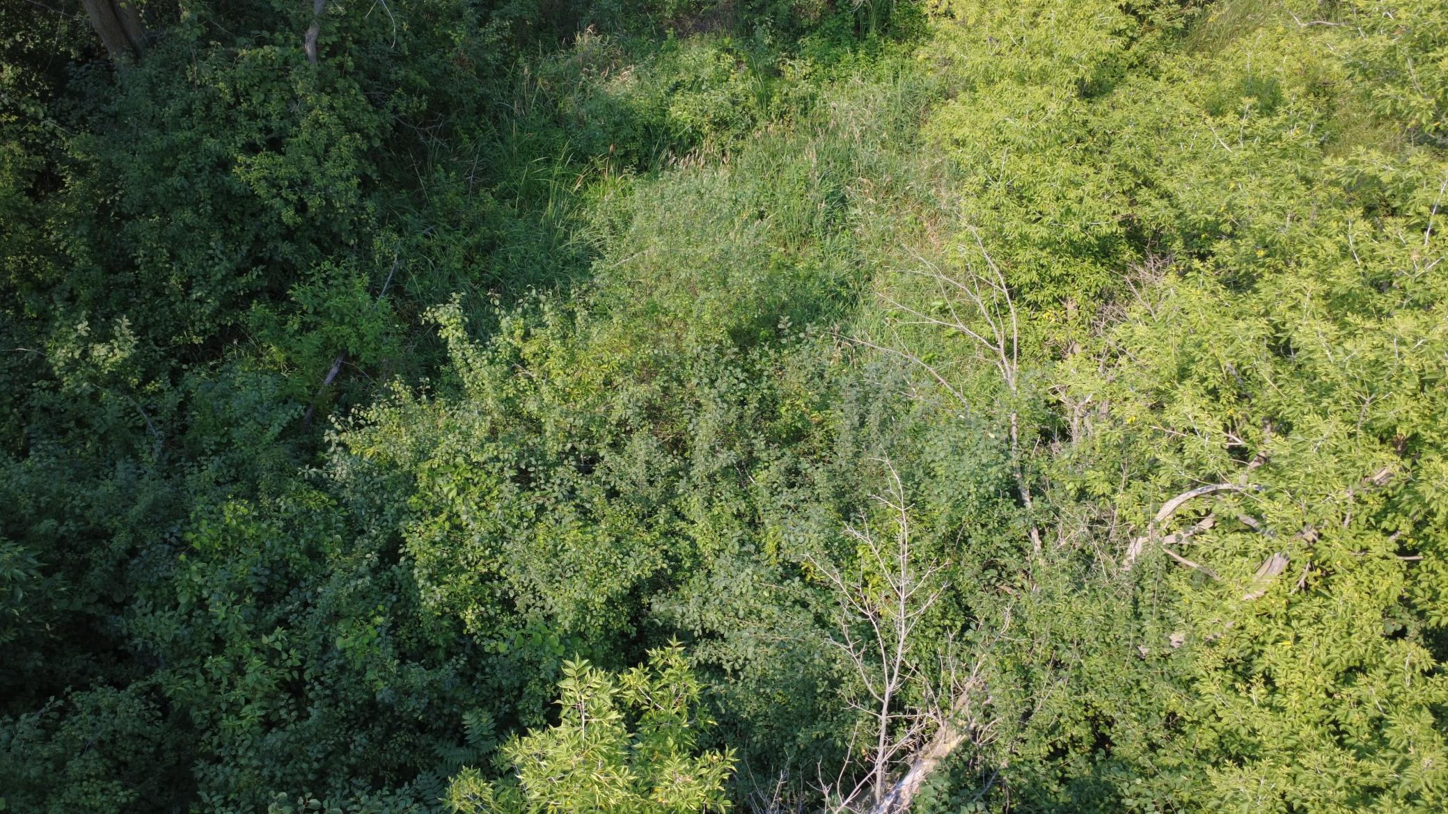 View of Land at XXX Ahern Avenue, Watertown MN 55388, Watertown (25 of 52) - Mike Wilen | Minnesota Team Real Estate