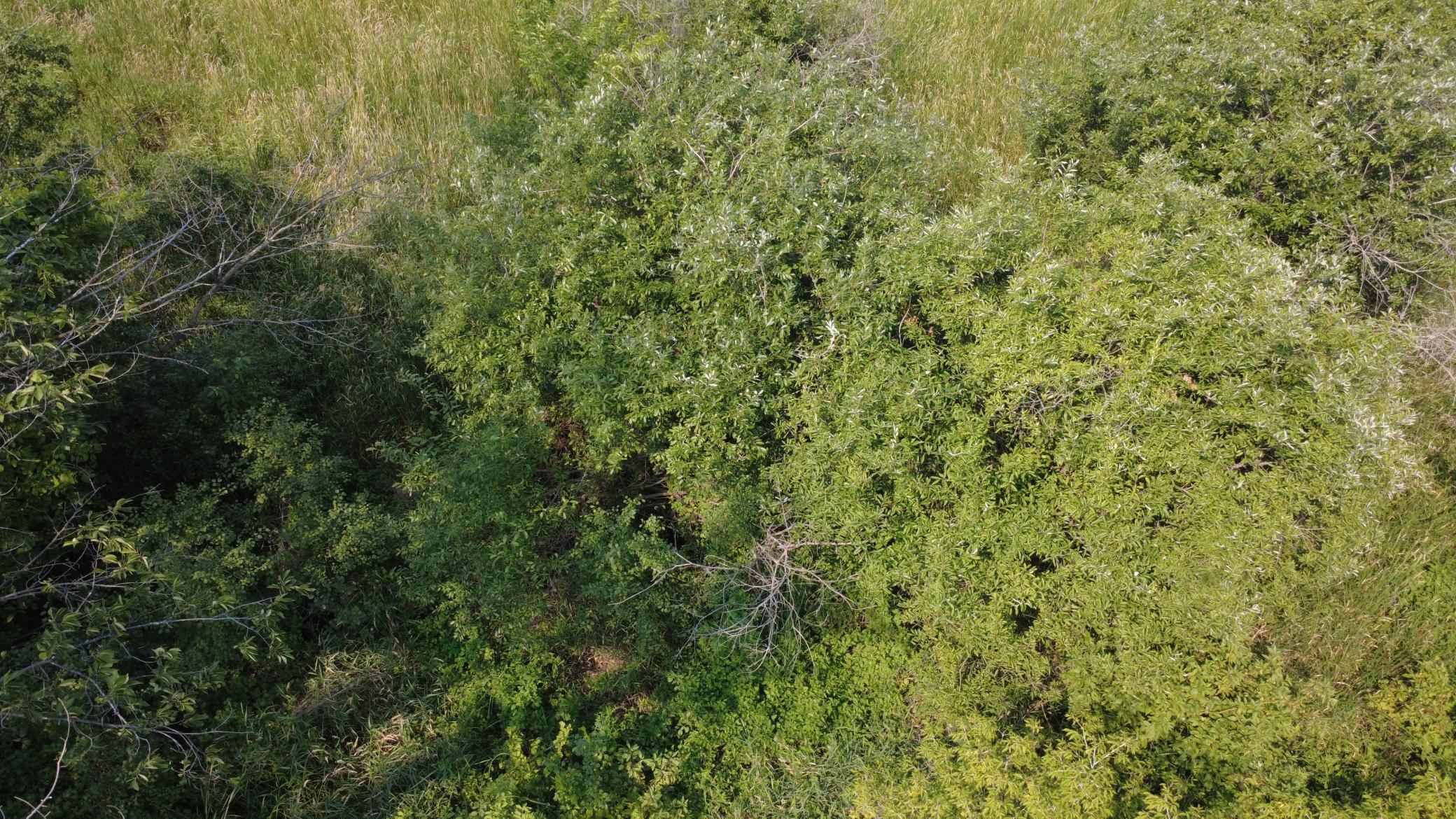 View of Land at XXX Ahern Avenue, Watertown MN 55388, Watertown (24 of 52) - Mike Wilen | Minnesota Team Real Estate