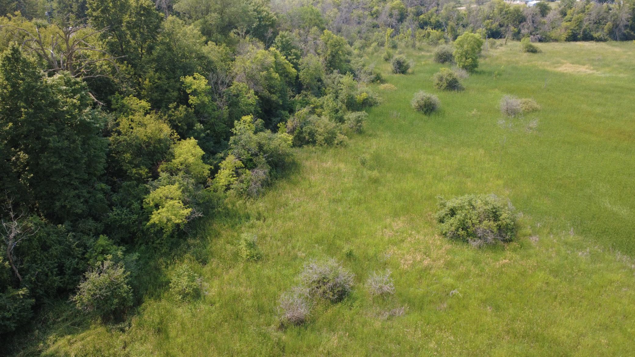 View of Land at XXX Ahern Avenue, Watertown MN 55388, Watertown (22 of 52) - Mike Wilen | Minnesota Team Real Estate