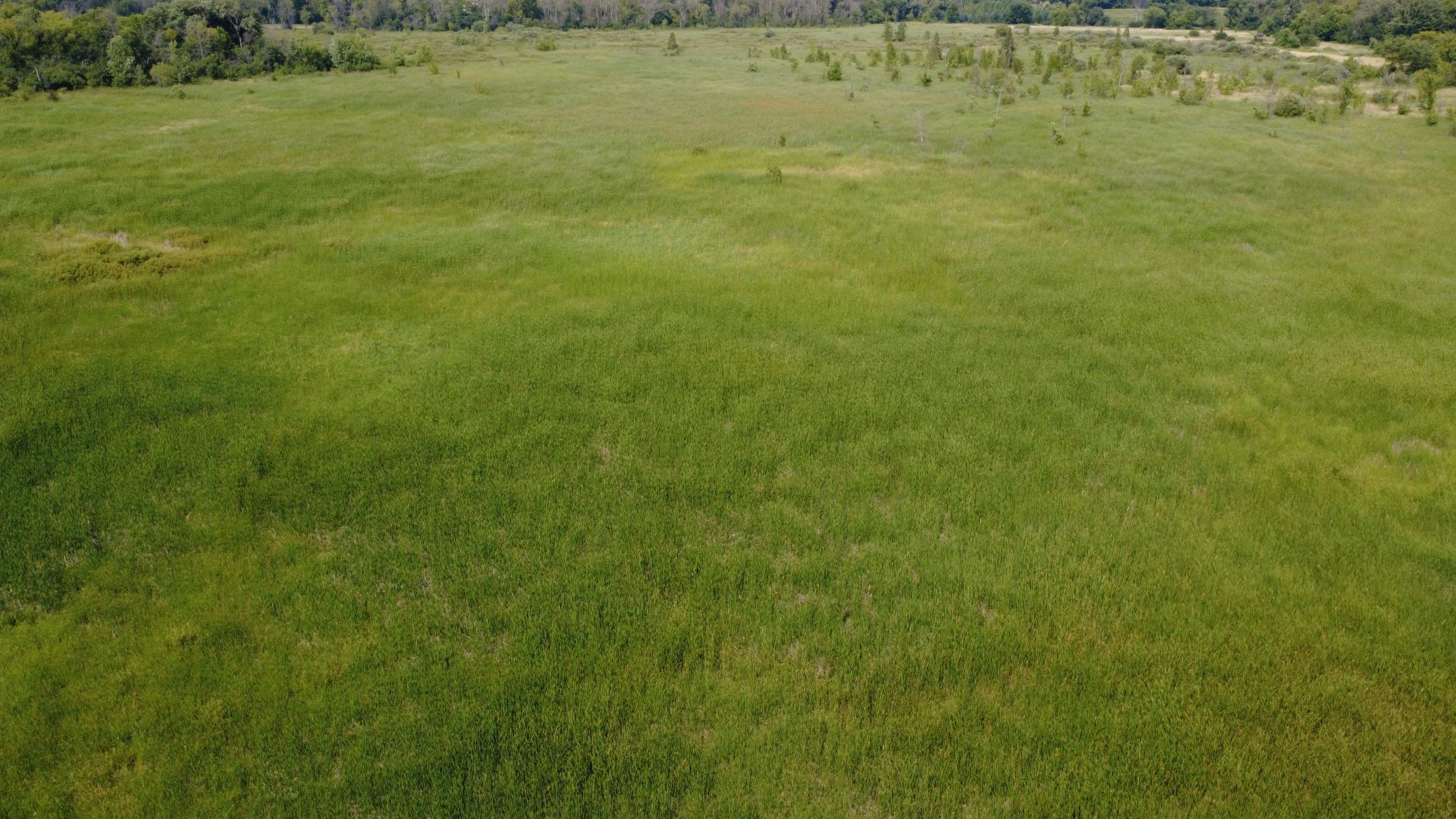 View of Land at XXX Ahern Avenue, Watertown MN 55388, Watertown (21 of 52) - Mike Wilen | Minnesota Team Real Estate