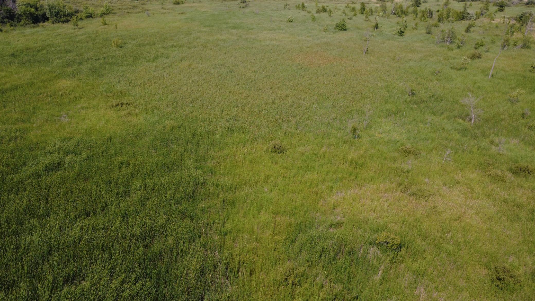 View of Land at XXX Ahern Avenue, Watertown MN 55388, Watertown (20 of 52) - Mike Wilen | Minnesota Team Real Estate