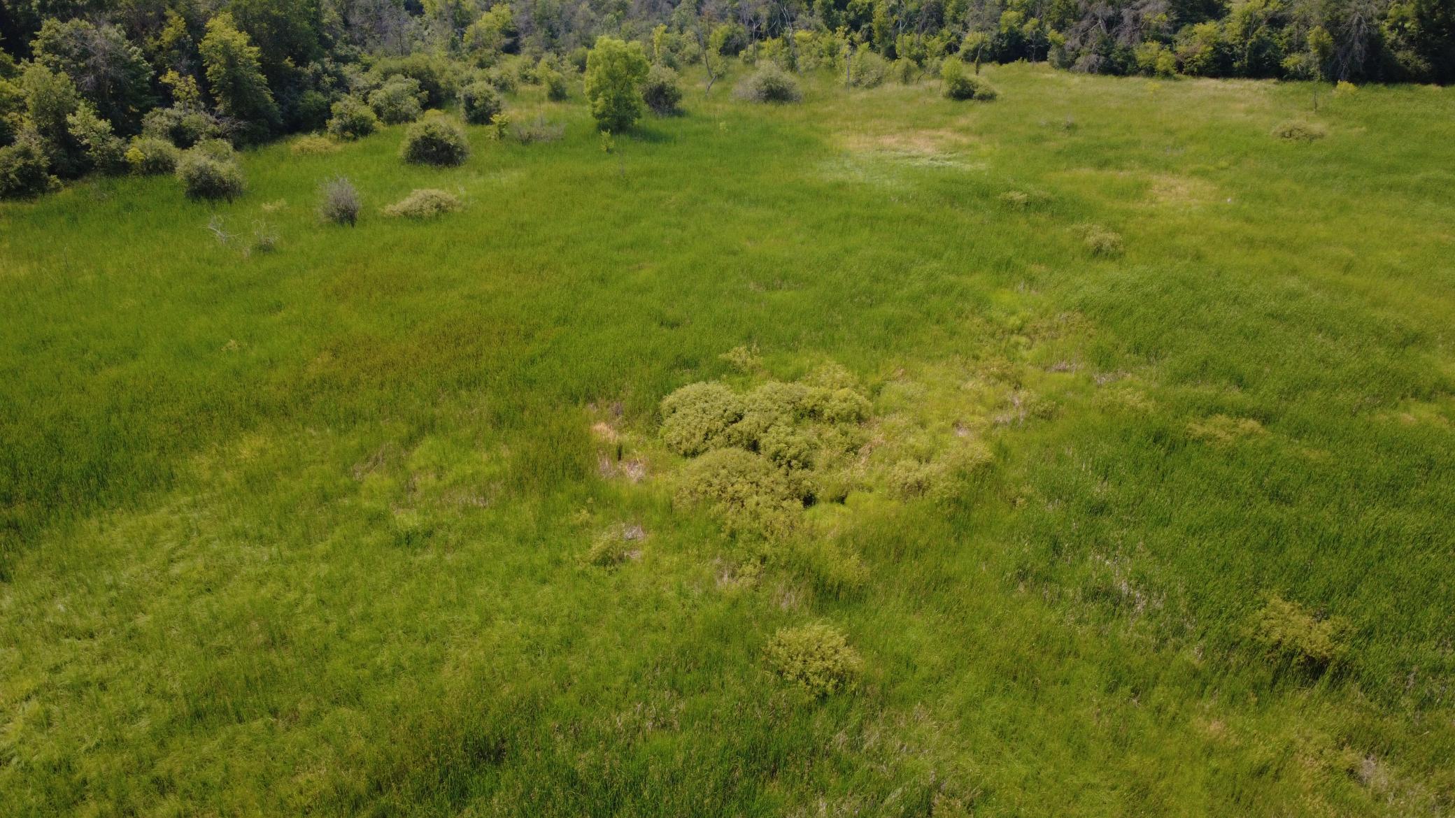 View of Land at XXX Ahern Avenue, Watertown MN 55388, Watertown (18 of 52) - Mike Wilen | Minnesota Team Real Estate