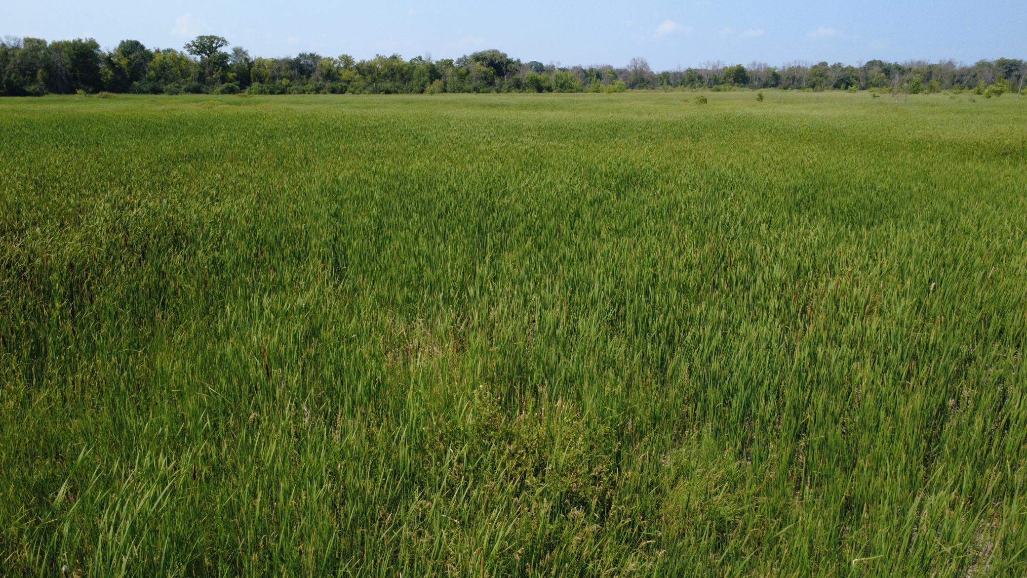 View of Land at XXX Ahern Avenue, Watertown MN 55388, Watertown (14 of 52) - Mike Wilen | Minnesota Team Real Estate