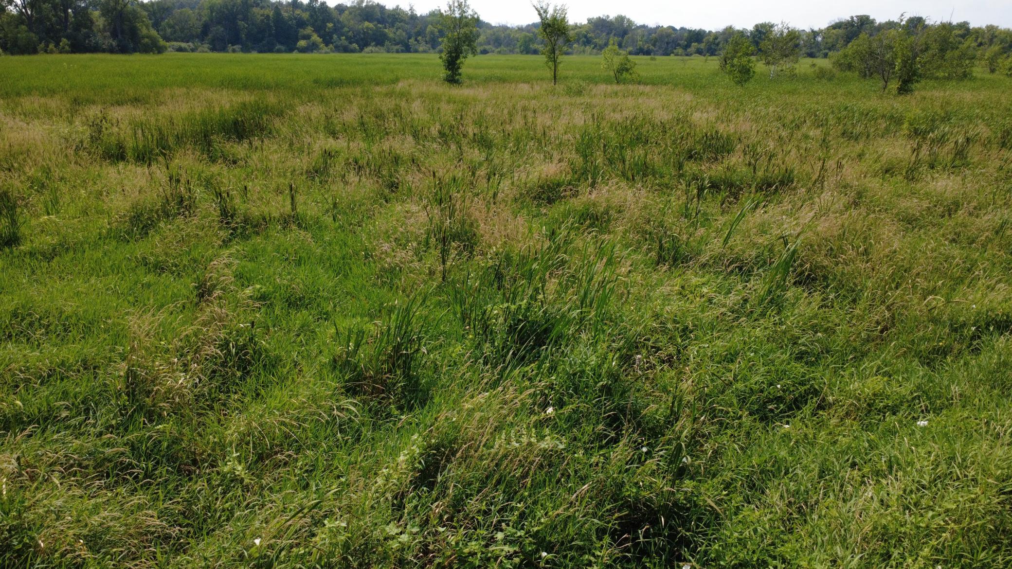 View of Land at XXX Ahern Avenue, Watertown MN 55388, Watertown (10 of 52) - Mike Wilen | Minnesota Team Real Estate