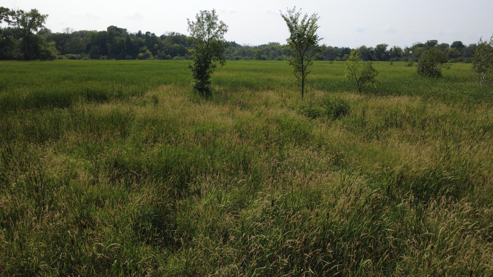 View of Land at XXX Ahern Avenue, Watertown MN 55388, Watertown (9 of 52) - Mike Wilen | Minnesota Team Real Estate