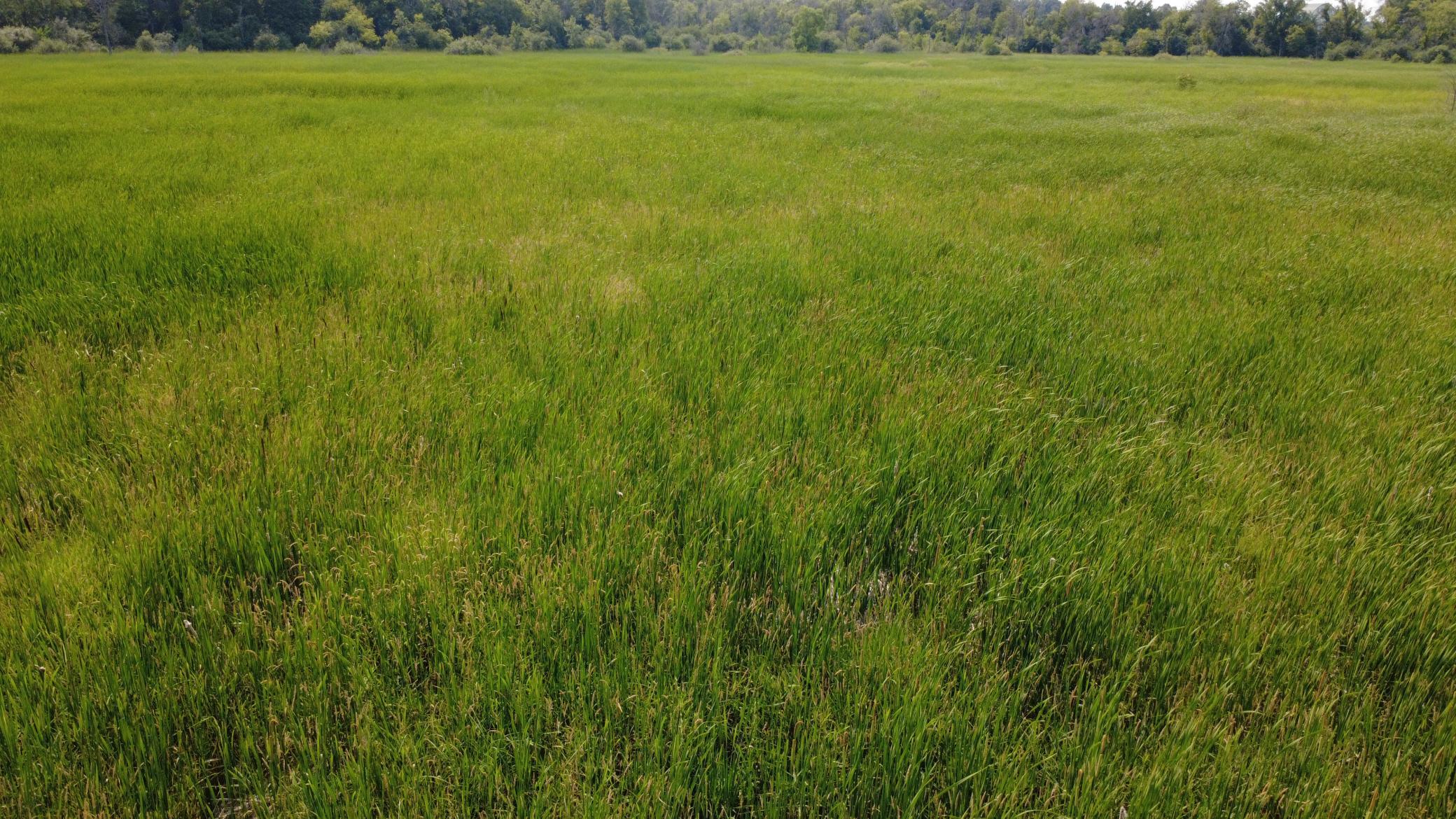 View of Land at XXX Ahern Avenue, Watertown MN 55388, Watertown (8 of 52) - Mike Wilen | Minnesota Team Real Estate