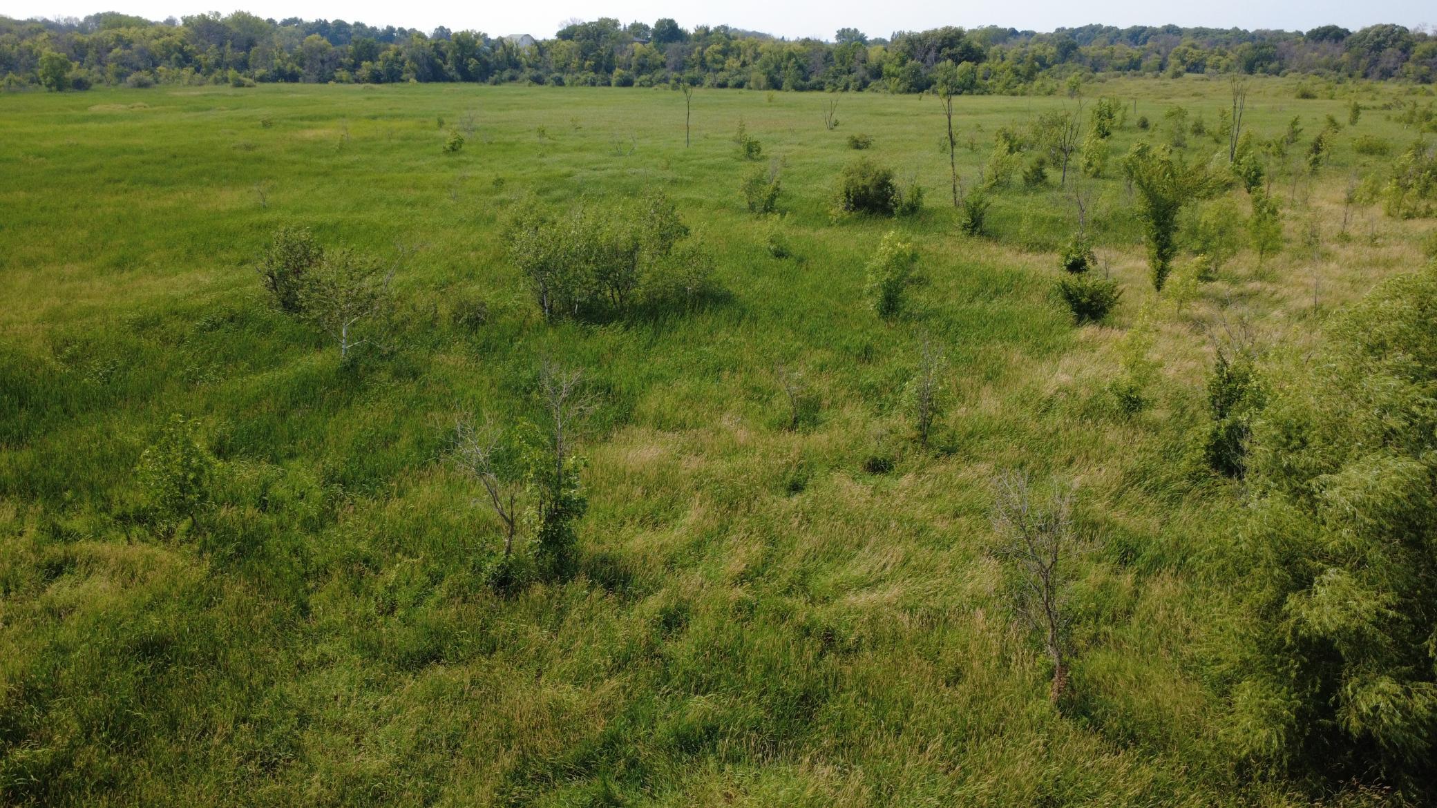 View of Land at XXX Ahern Avenue, Watertown MN 55388, Watertown (7 of 52) - Mike Wilen | Minnesota Team Real Estate