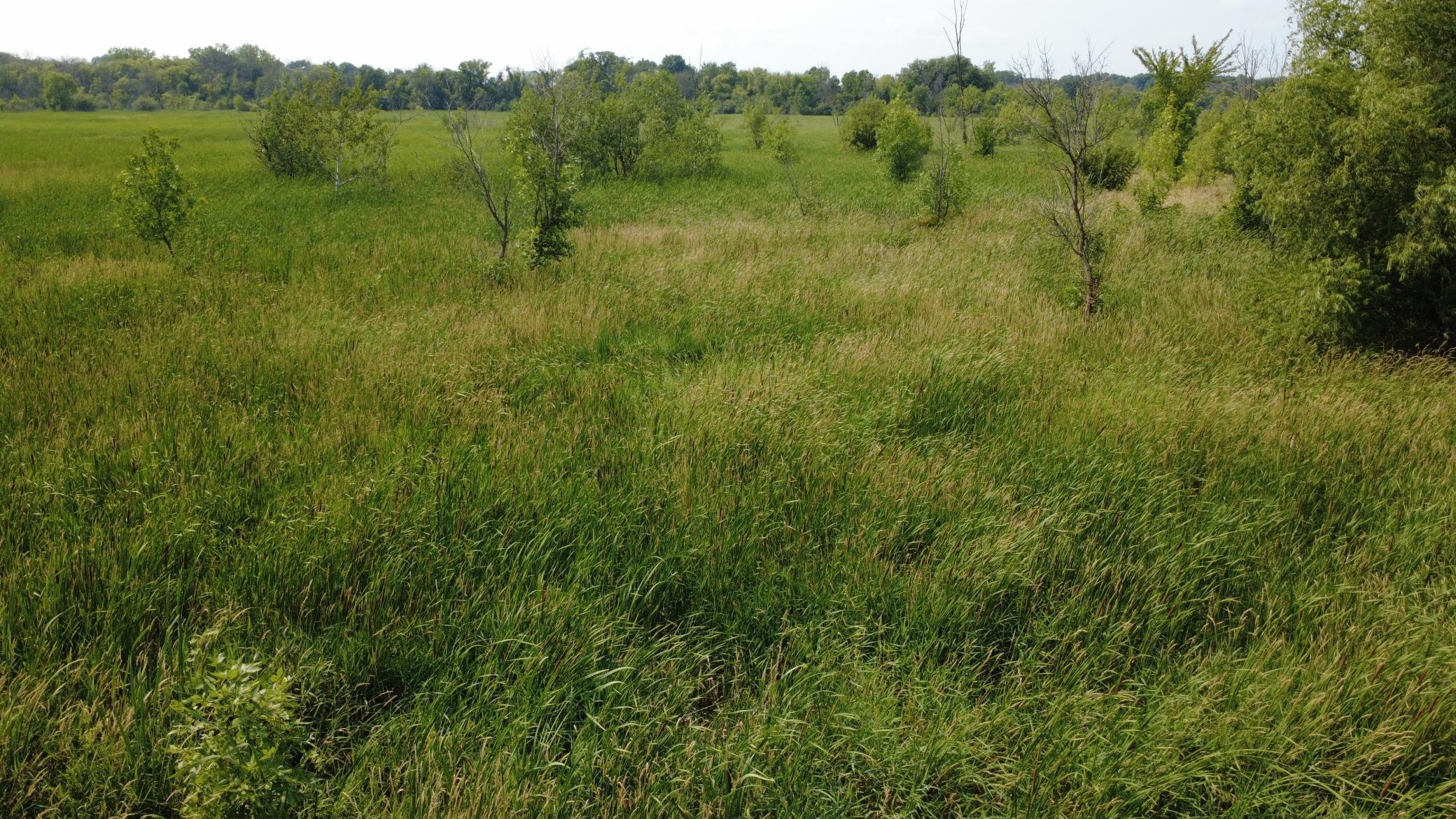 View of Land at XXX Ahern Avenue, Watertown MN 55388, Watertown (6 of 52) - Mike Wilen | Minnesota Team Real Estate