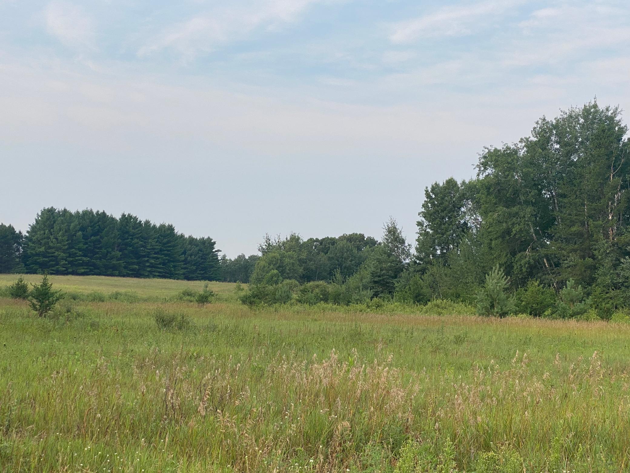 View of Land at TBD 325th Avenue NW, Princeton MN 55371, Princeton - Mike Wilen | Minnesota Team Real Estate