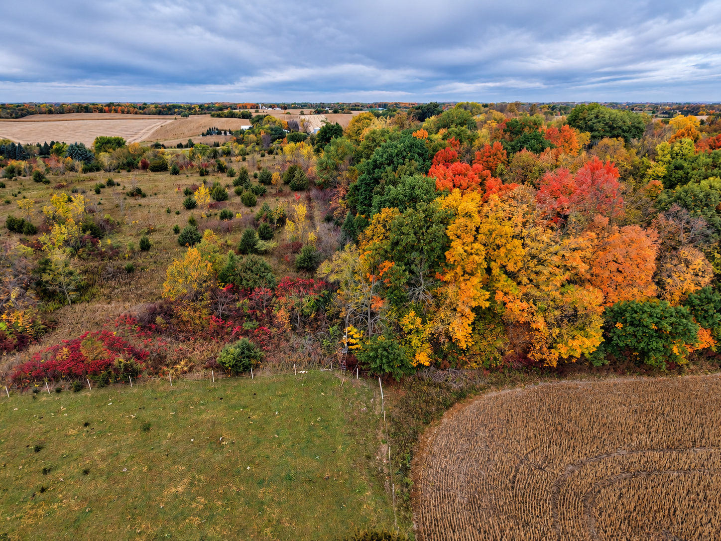 View of Land at 21423 Vergus Avenue, Prior Lake MN 55372, Prior Lake (3 of 8) - Mike Wilen | Minnesota Team Real Estate