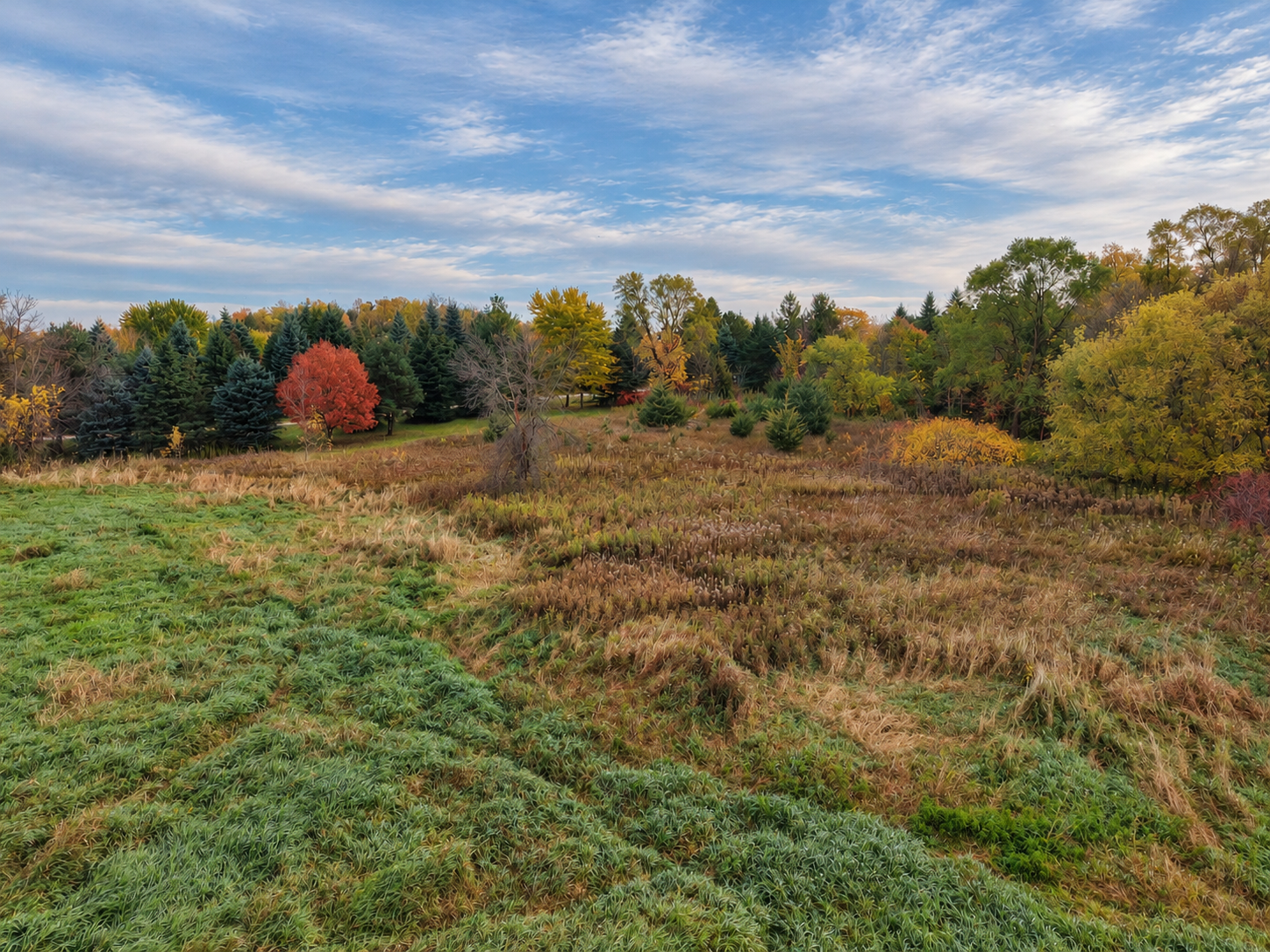 View of Land at 21567 Vergus Avenue, Prior Lake MN 55372, Prior Lake (11 of 26) - Mike Wilen | Minnesota Team Real Estate