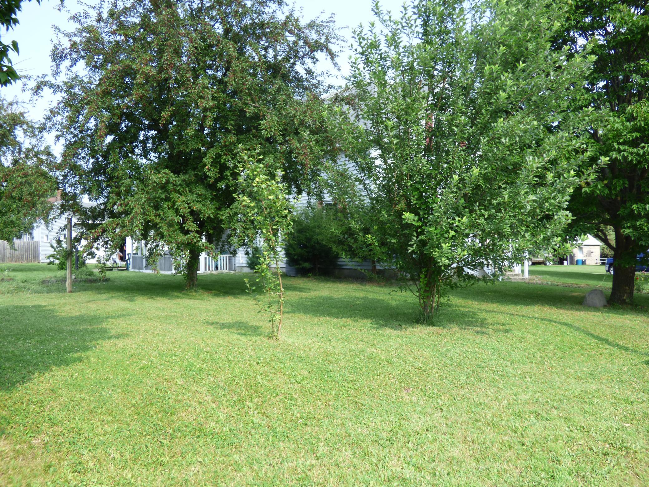 View of Residential at 2 Maple Avenue, Le Center MN 56057, Le Center (7 of 29) - Mike Wilen | Minnesota Team Real Estate