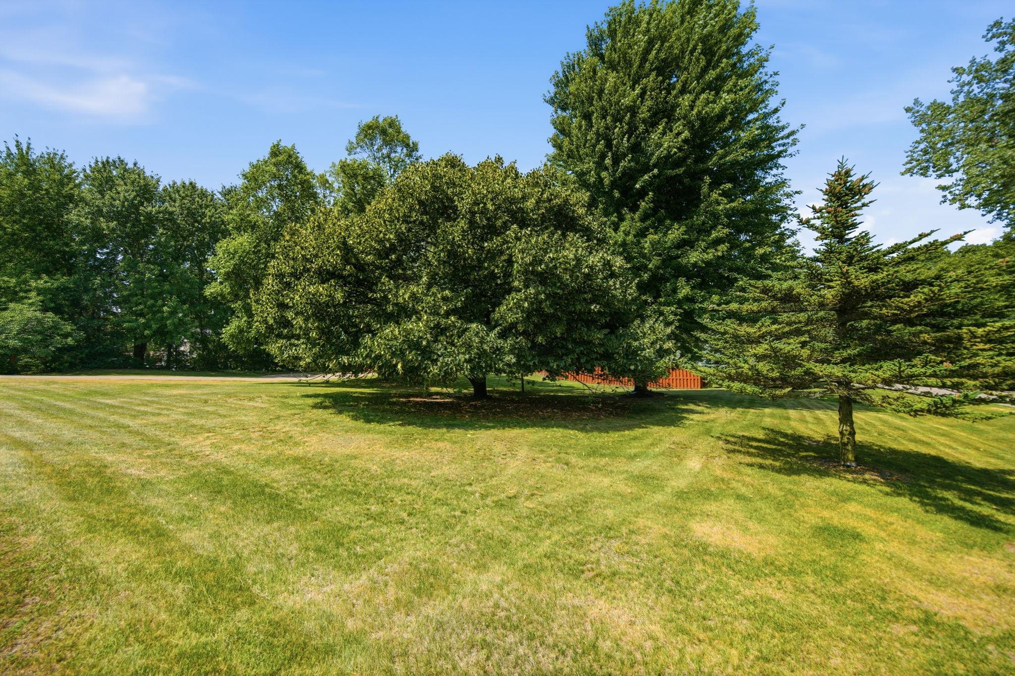 View of Residential at 20292 169th Circle, Big Lake MN 55309, Big Lake (32 of 52) - Mike Wilen | Minnesota Team Real Estate