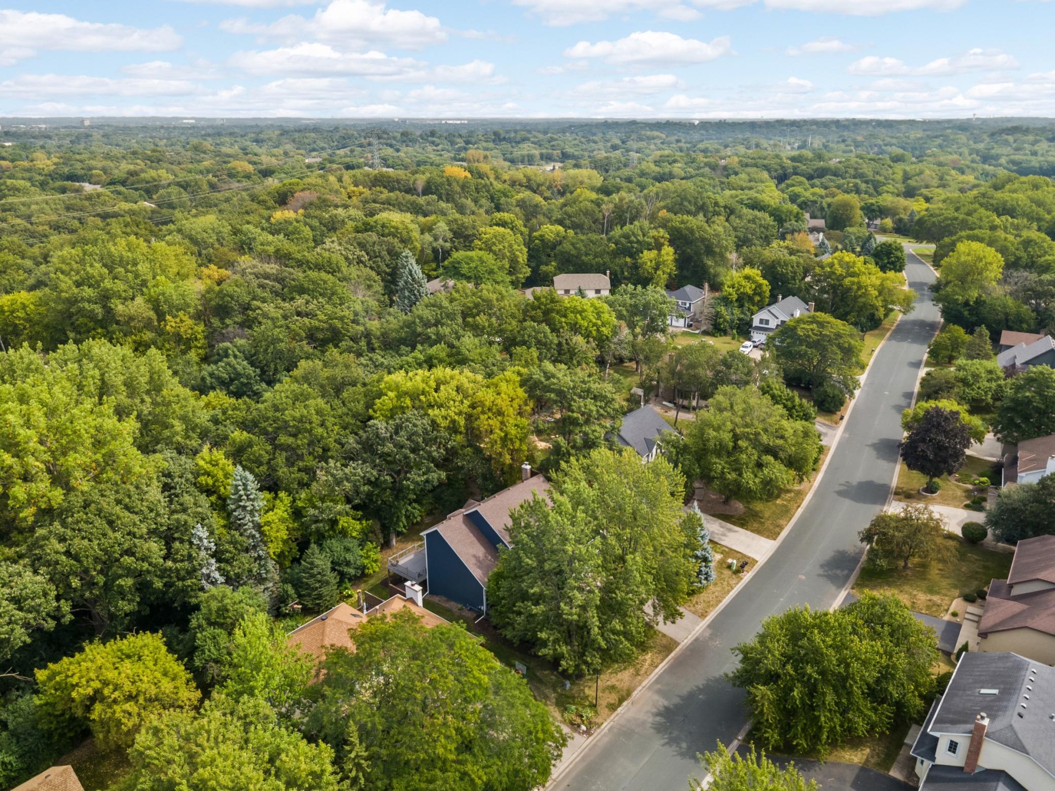 View of Residential at 1655 Mallard Drive, Eagan MN 55122, Eagan (40 of 47) - Mike Wilen | Minnesota Team Real Estate