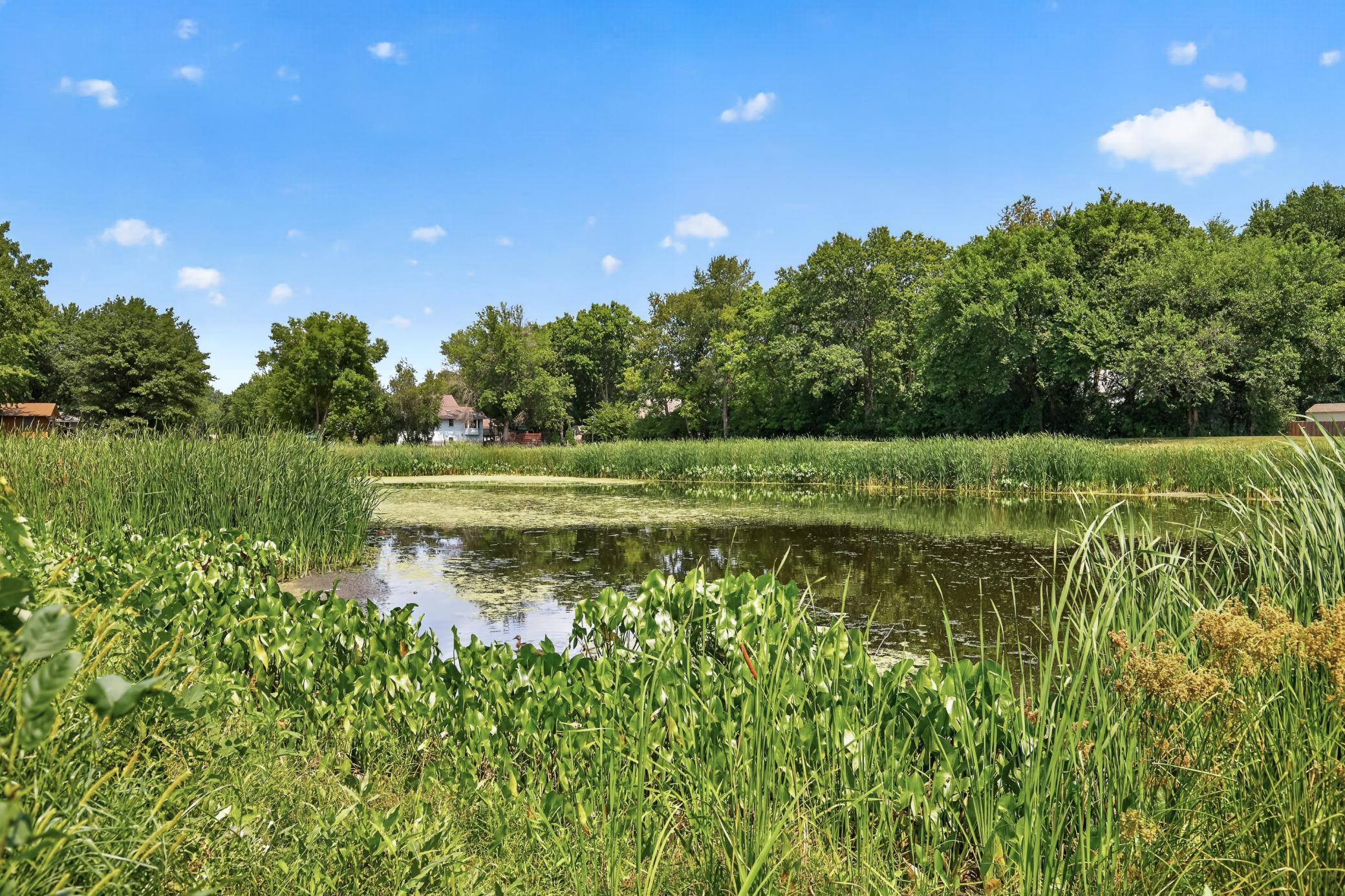 View of Residential at 401 Orleans Court, Champlin MN 55316, Champlin (48 of 51) - Mike Wilen | Minnesota Team Real Estate