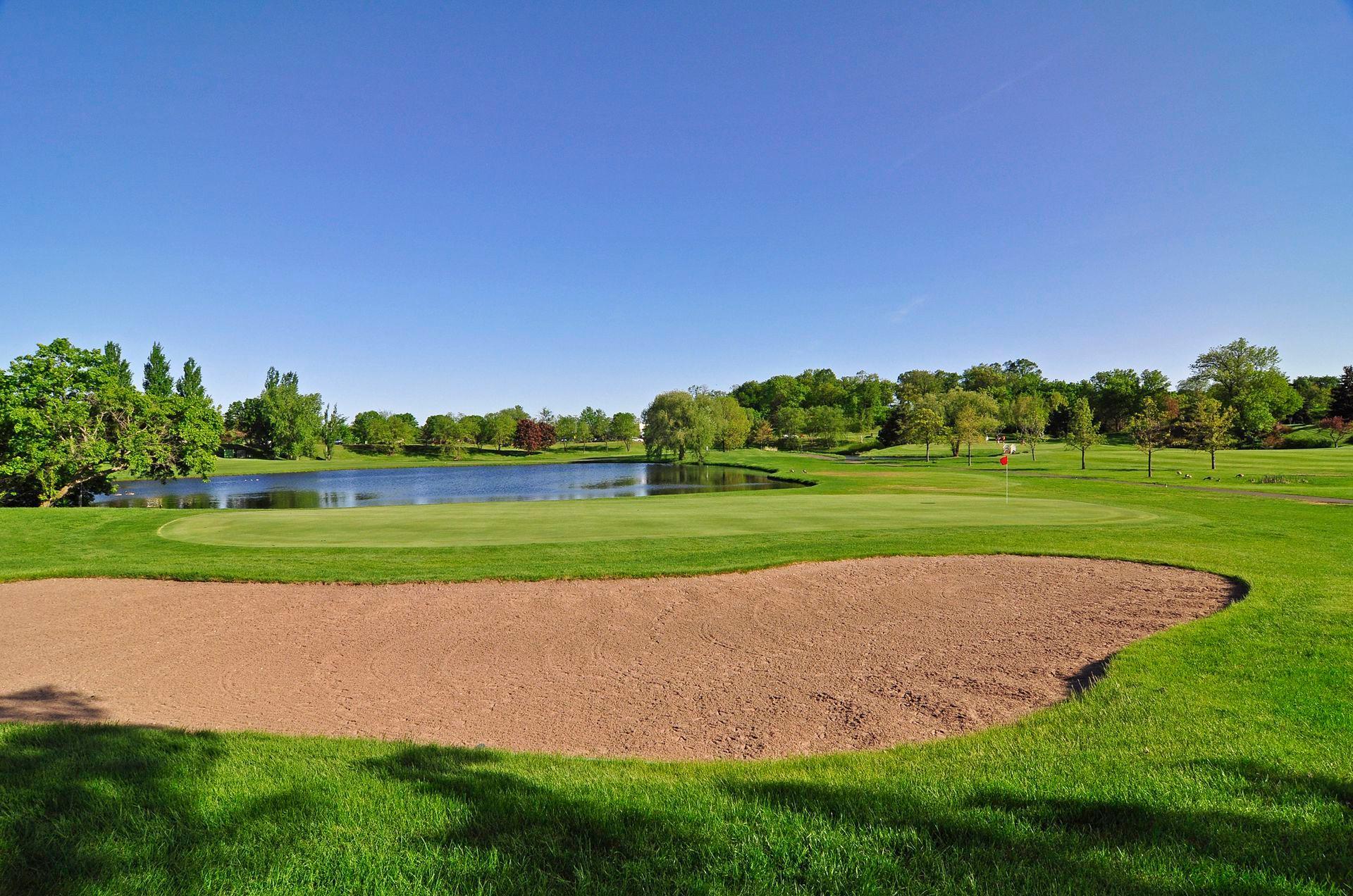 View of Residential at 1581 Griggs Street, Saint Paul MN 55108, Saint Paul (34 of 43) - Mike Wilen | Minnesota Team Real Estate