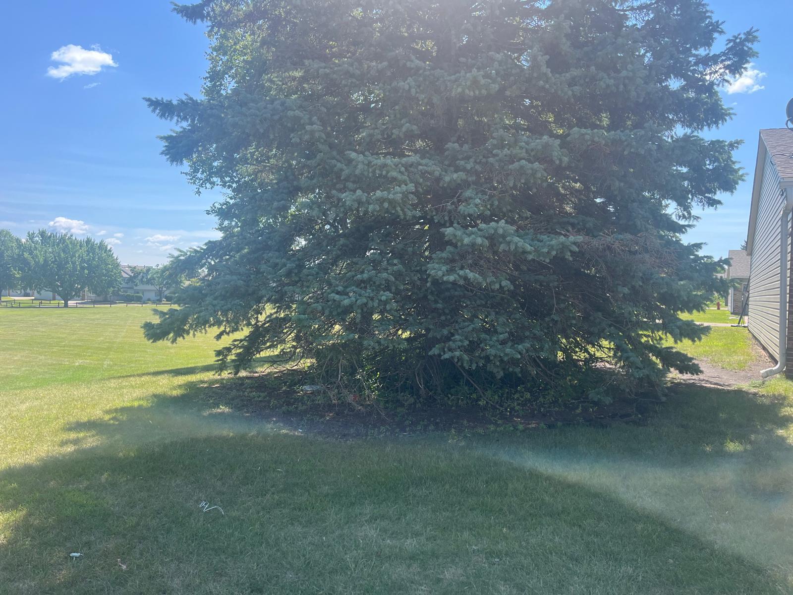 View of Residential at 15822 Griffon Path, Apple Valley MN 55124, Apple Valley (31 of 33) - Mike Wilen | Minnesota Team Real Estate