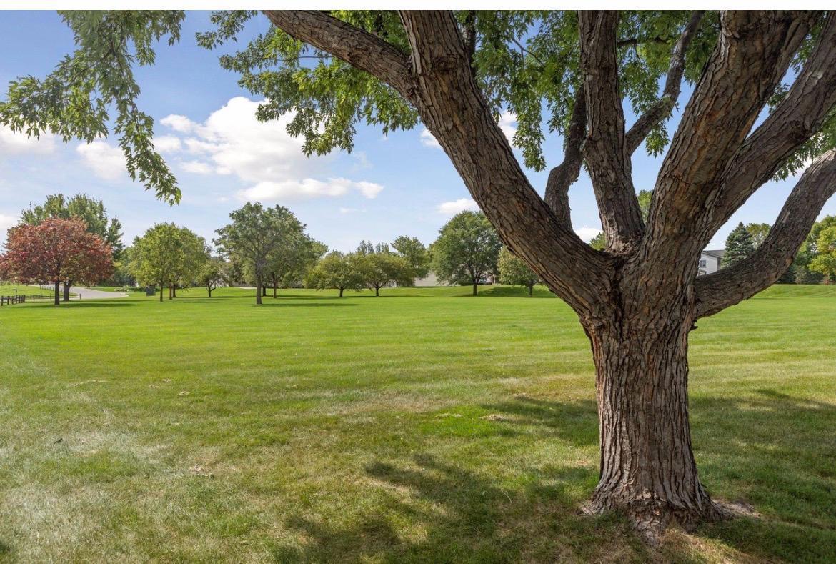 View of Residential at 15822 Griffon Path, Apple Valley MN 55124, Apple Valley (29 of 33) - Mike Wilen | Minnesota Team Real Estate