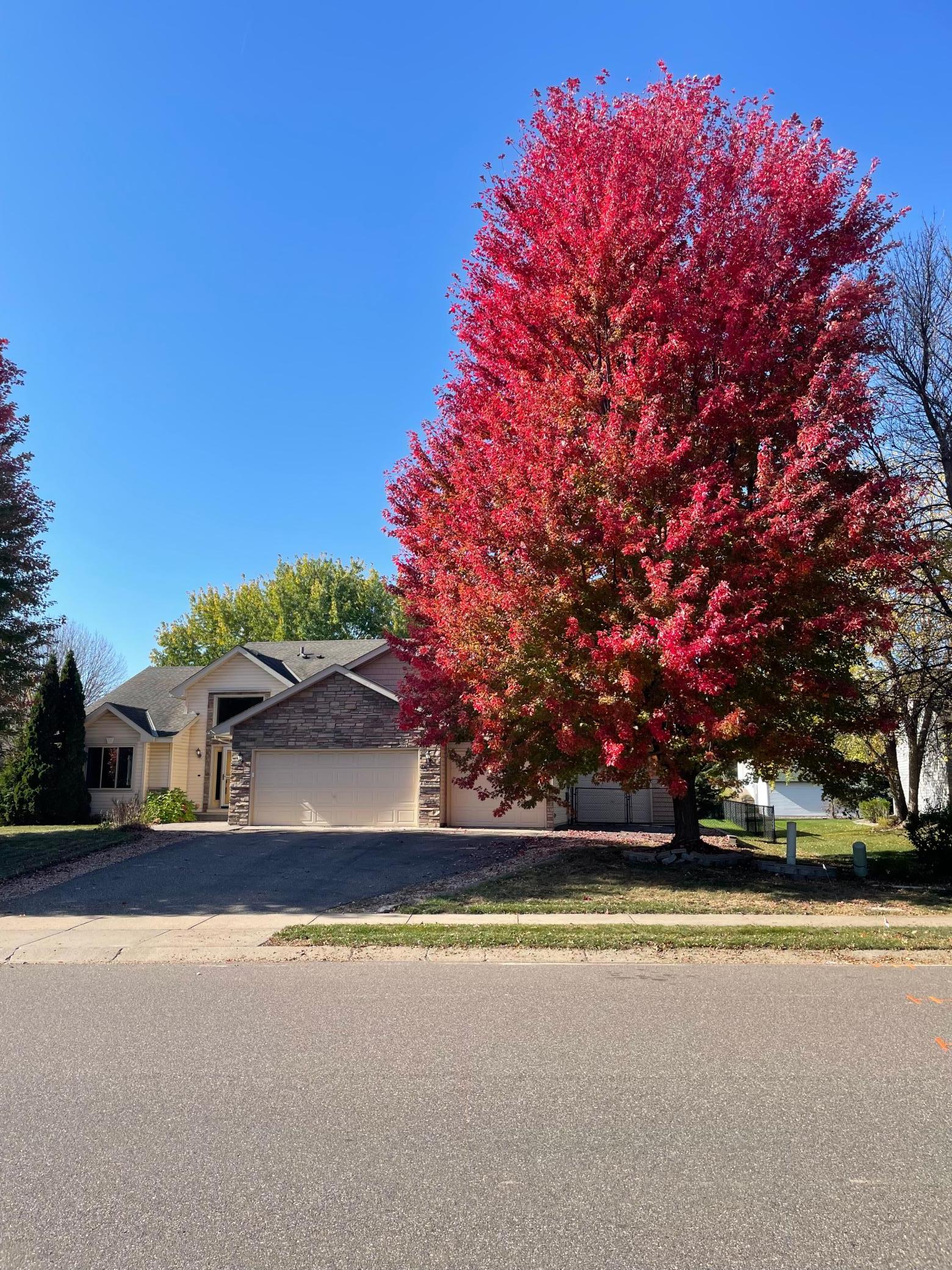 View of Residential at 13525 Oakwood Drive, Rogers MN 55374, Rogers (34 of 34) - Mike Wilen | Minnesota Team Real Estate