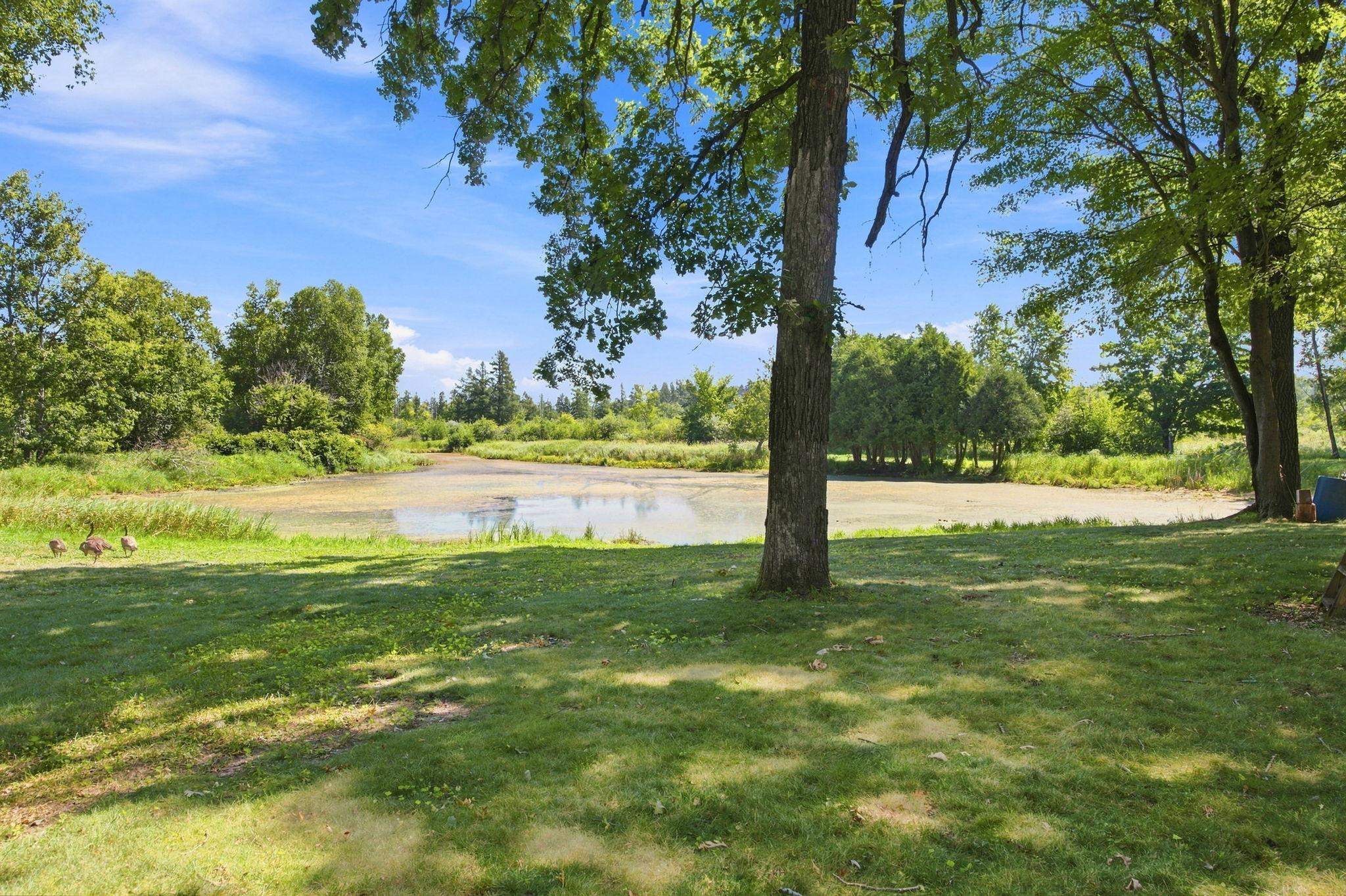 View of Residential at 25053 Typo Creek Drive, Stacy MN 55079, Stacy (44 of 50) - Mike Wilen | Minnesota Team Real Estate