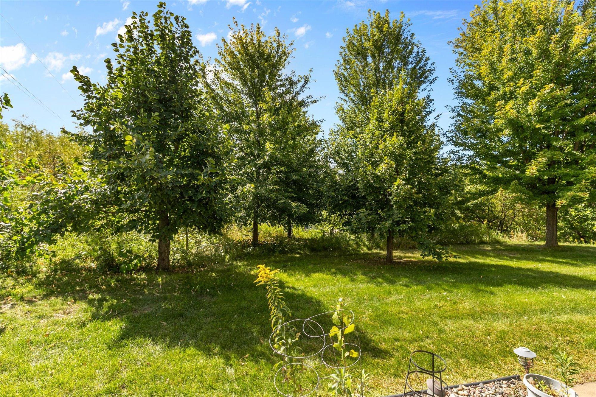 View of Residential at 5501 Fernbrook Lane, Plymouth MN 55446, Plymouth (67 of 68) - Mike Wilen | Minnesota Team Real Estate