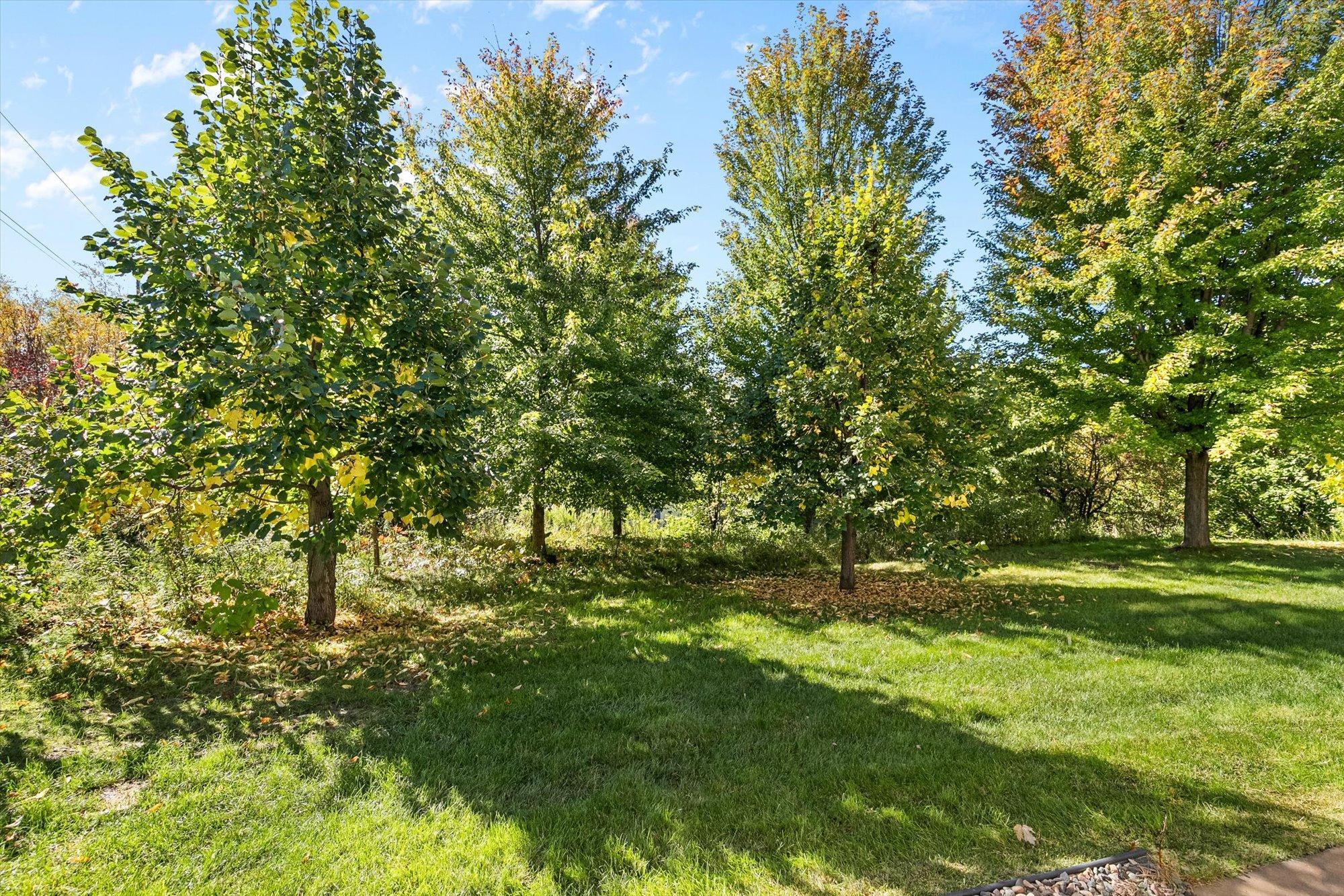 View of Residential at 5501 Fernbrook Lane, Plymouth MN 55446, Plymouth (55 of 68) - Mike Wilen | Minnesota Team Real Estate
