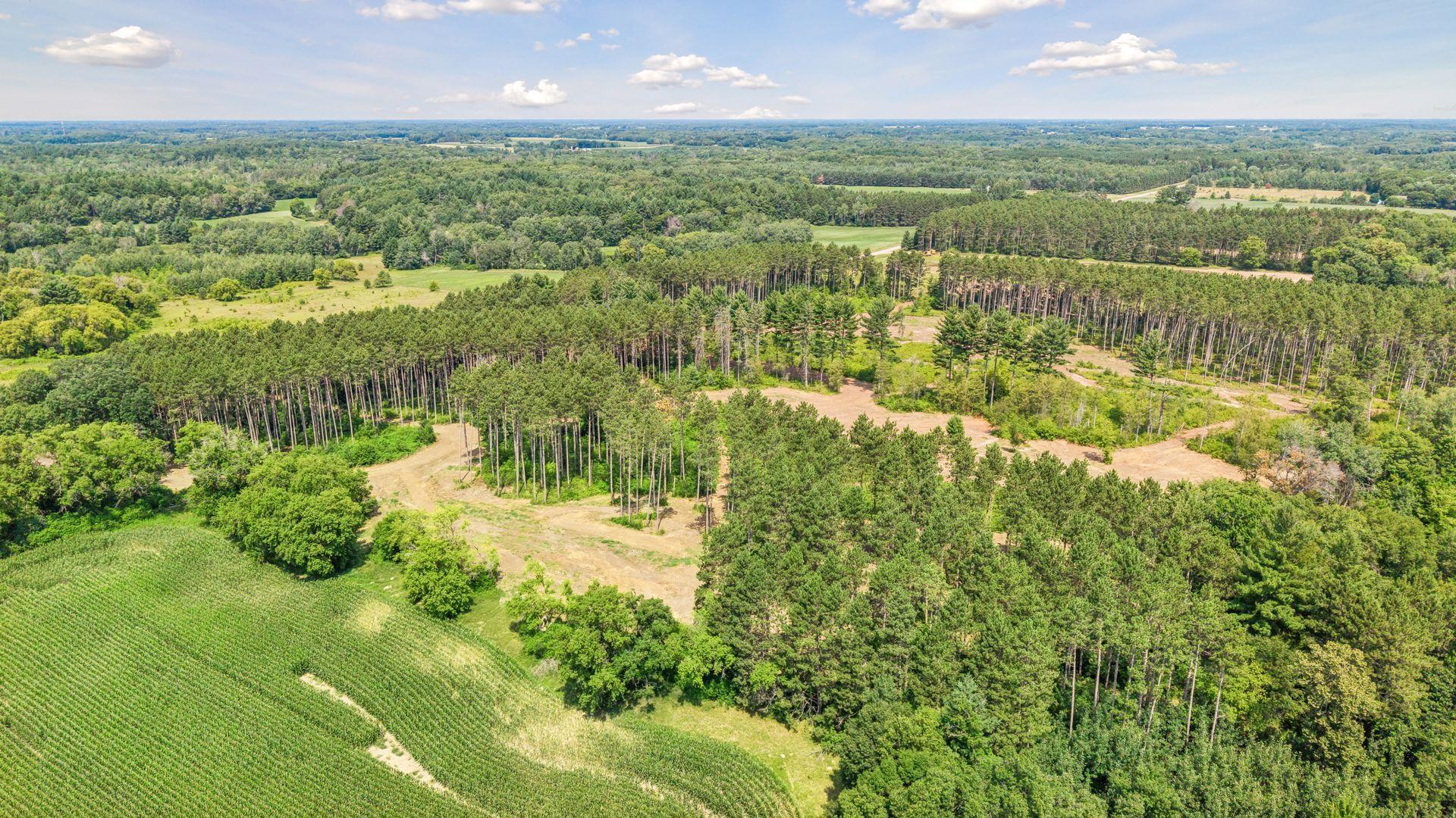 View of Land at (Lot 3) TBD Tulip Street, Stanchfield MN 55080, Stanchfield (16 of 17) - Mike Wilen | Minnesota Team Real Estate