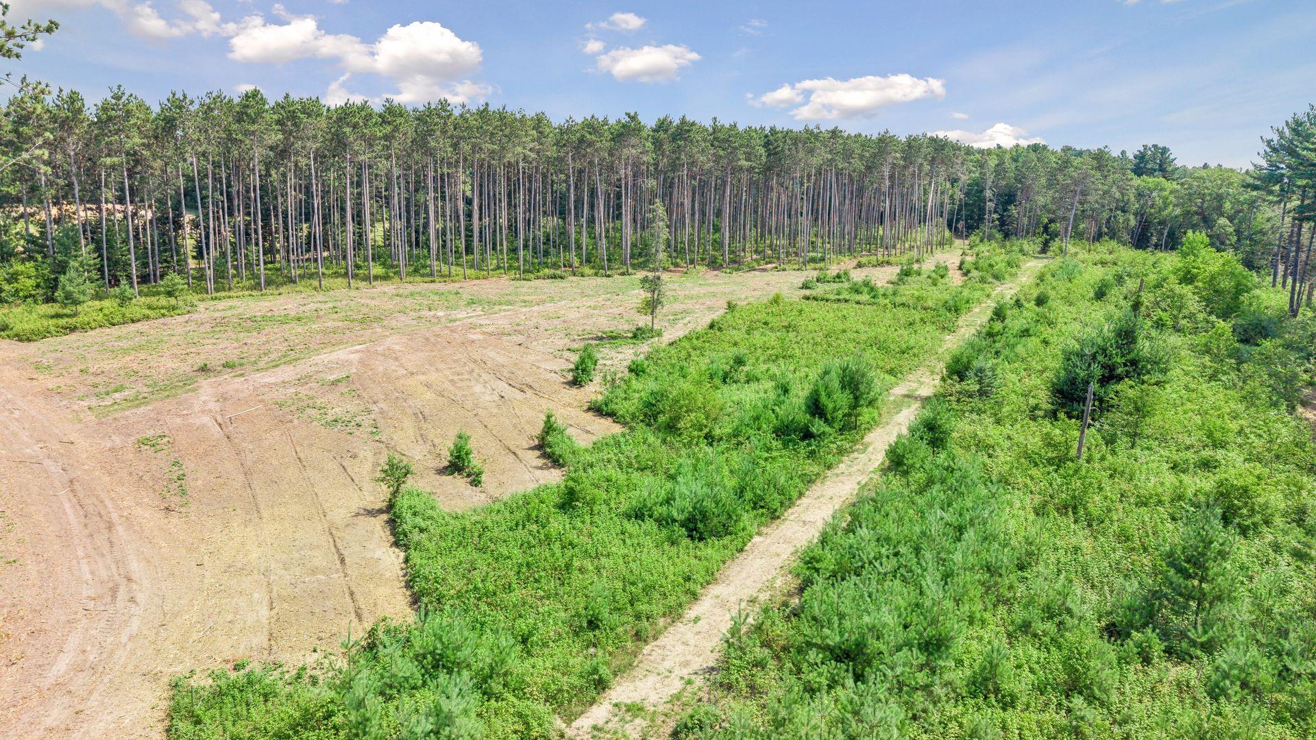 View of Land at (Lot 3) TBD Tulip Street, Stanchfield MN 55080, Stanchfield (12 of 17) - Mike Wilen | Minnesota Team Real Estate