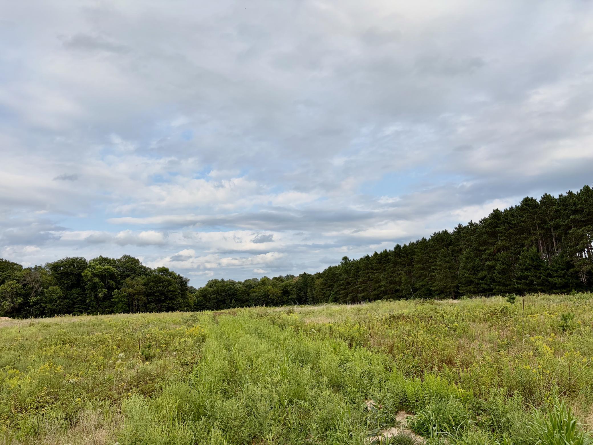 View of Land at (Lot 3) TBD Tulip Street, Stanchfield MN 55080, Stanchfield - Mike Wilen | Minnesota Team Real Estate