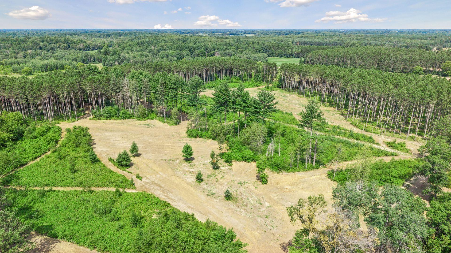 View of Land at (Lot 5) TBD Tulip Street, Stanchfield MN 55080, Stanchfield (13 of 17) - Mike Wilen | Minnesota Team Real Estate