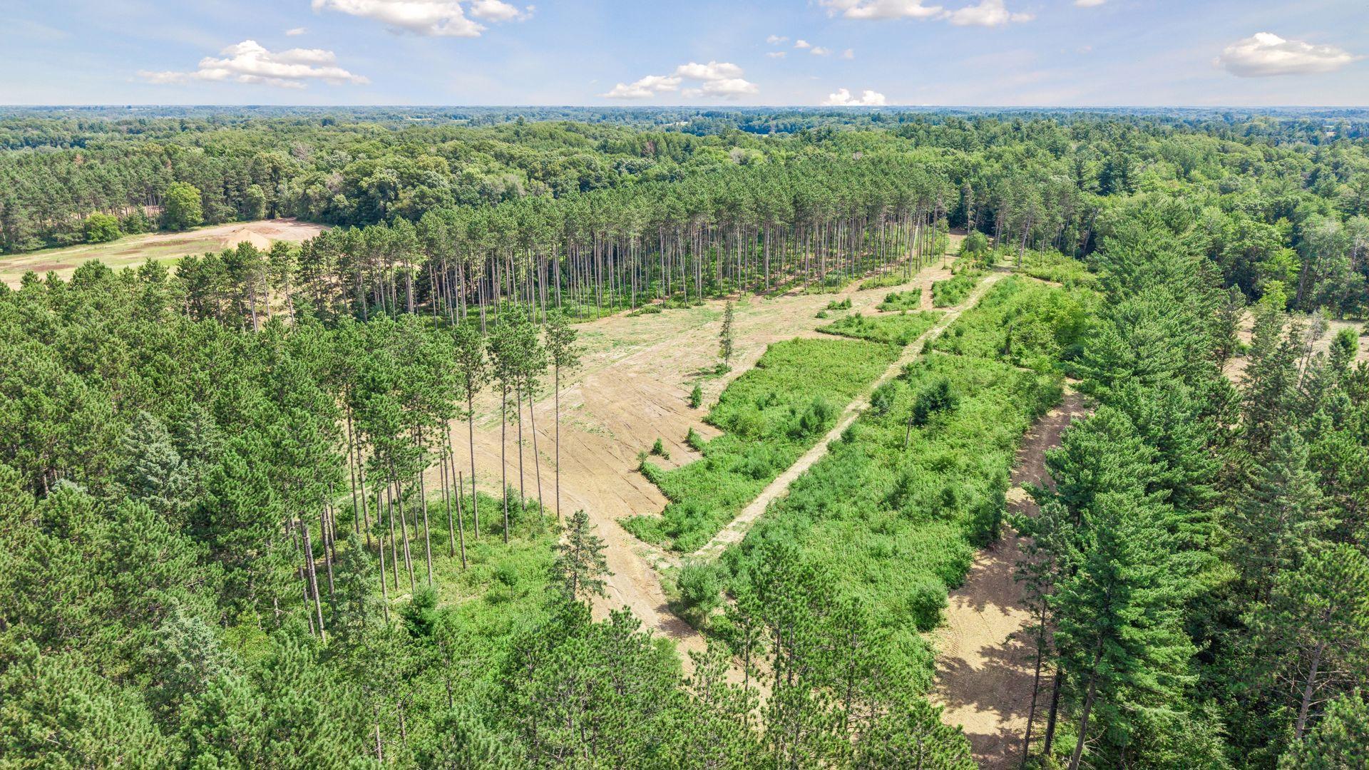 View of Land at (Lot 5) TBD Tulip Street, Stanchfield MN 55080, Stanchfield (12 of 17) - Mike Wilen | Minnesota Team Real Estate