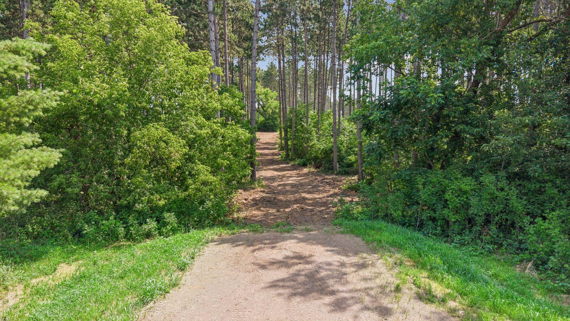 View of Land at (Lot 5) TBD Tulip Street, Stanchfield MN 55080, Stanchfield (7 of 17) - Mike Wilen | Minnesota Team Real Estate