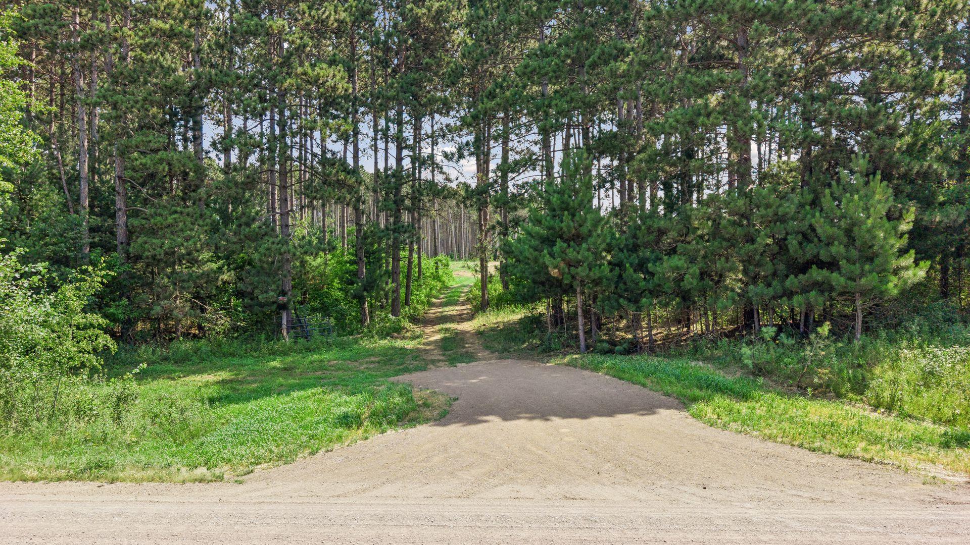 View of Land at (Lot 5) TBD Tulip Street, Stanchfield MN 55080, Stanchfield (3 of 17) - Mike Wilen | Minnesota Team Real Estate