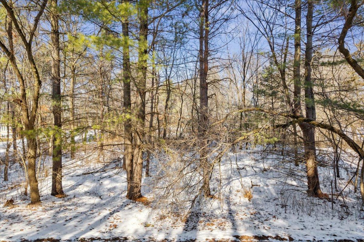 View of Land at XXX 89th St. N., Grant MN 55115, Grant - Mike Wilen | Minnesota Team Real Estate