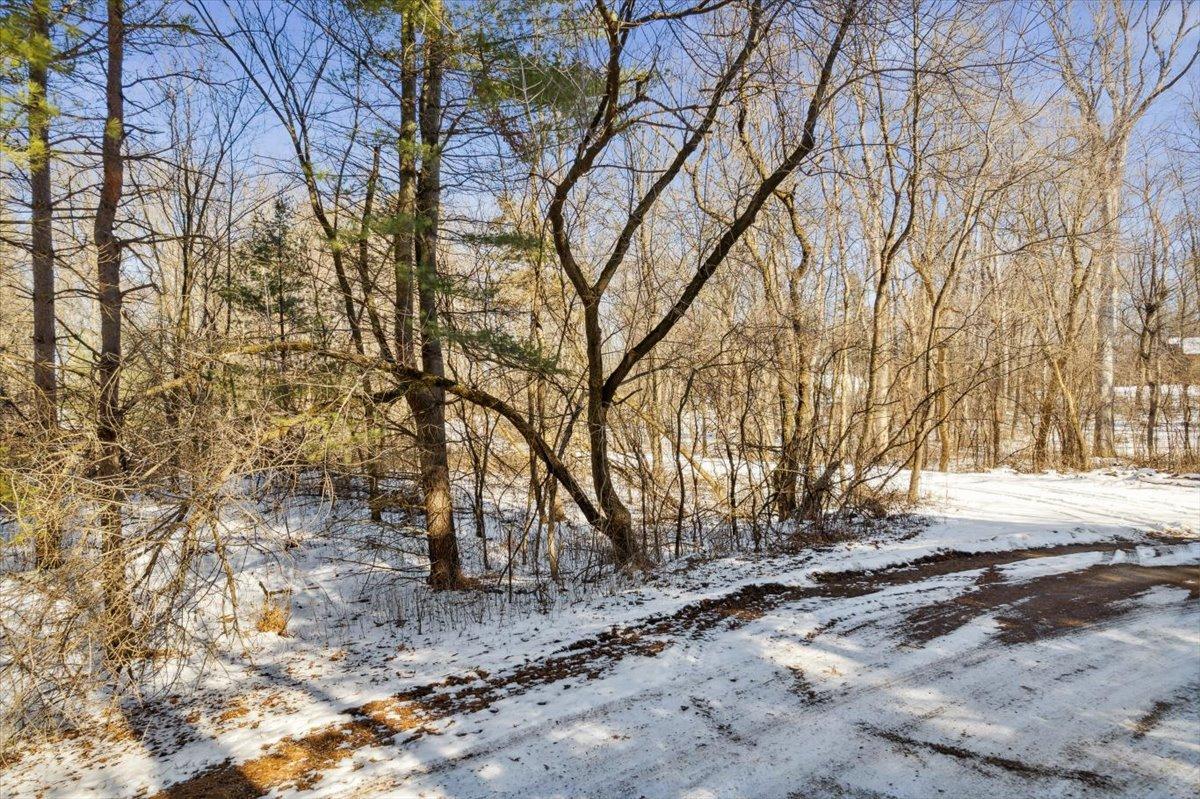 View of Land at XXX 89th St. N., Grant MN 55115, Grant (15 of 15) - Mike Wilen | Minnesota Team Real Estate