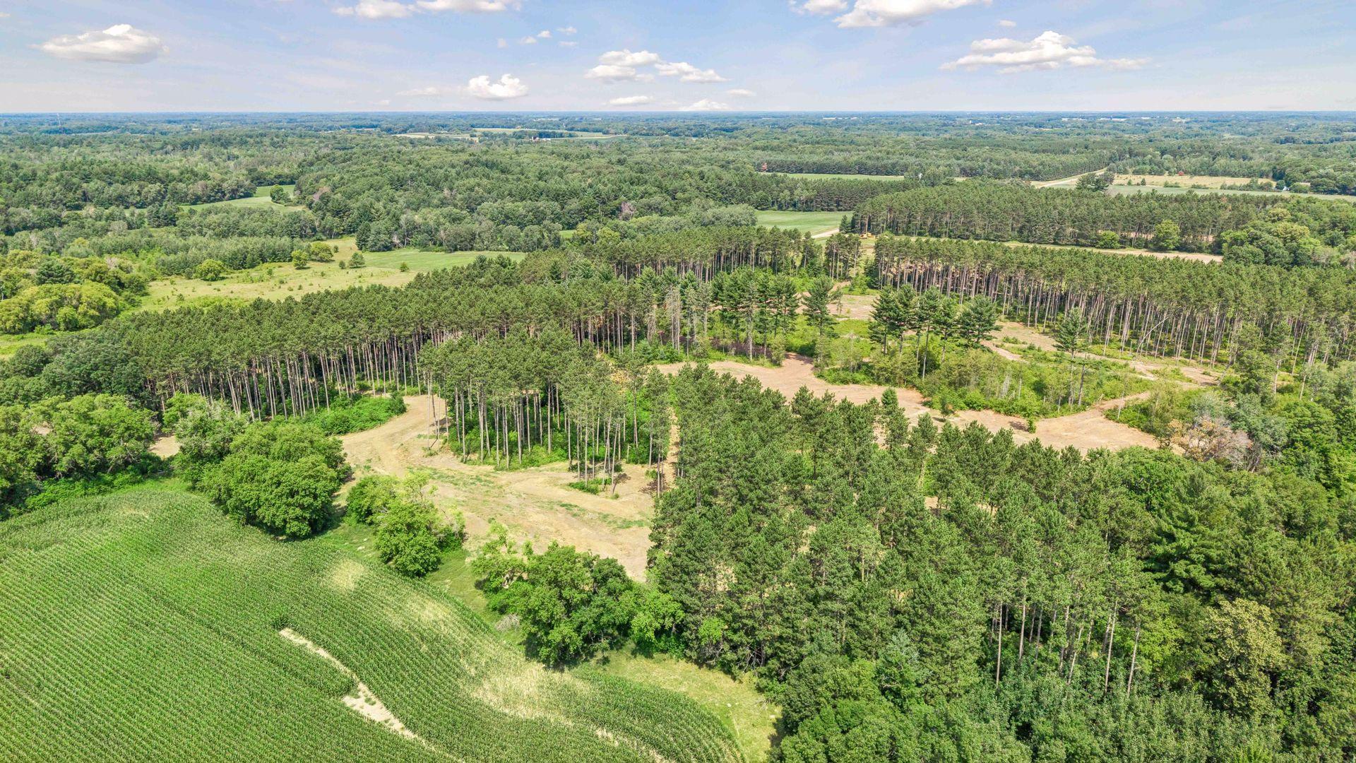 View of Land at (Lot 6) TBD Tulip Street, Stanchfield MN 55080, Stanchfield (17 of 17) - Mike Wilen | Minnesota Team Real Estate