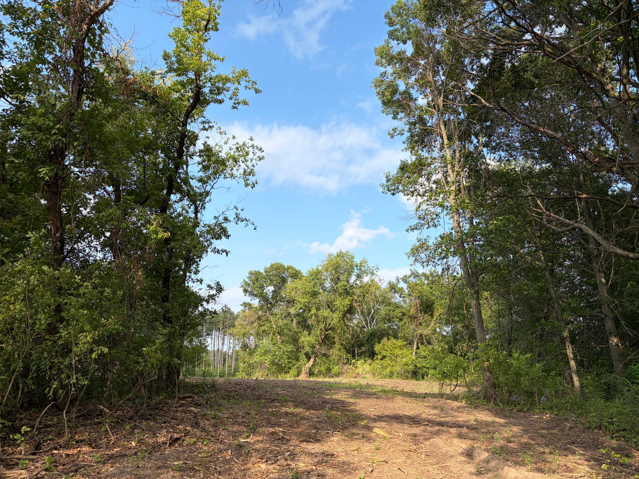 View of Land at (Lot 7) TBD Tulip Street, Stanchfield MN 55080, Stanchfield - Mike Wilen | Minnesota Team Real Estate