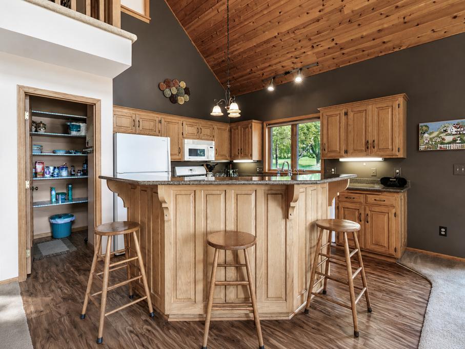 View of Residential at 41748 Shore Drive, Kilkenny MN 56052, Kilkenny (6 of 53) - Mike Wilen | Minnesota Team Real Estate