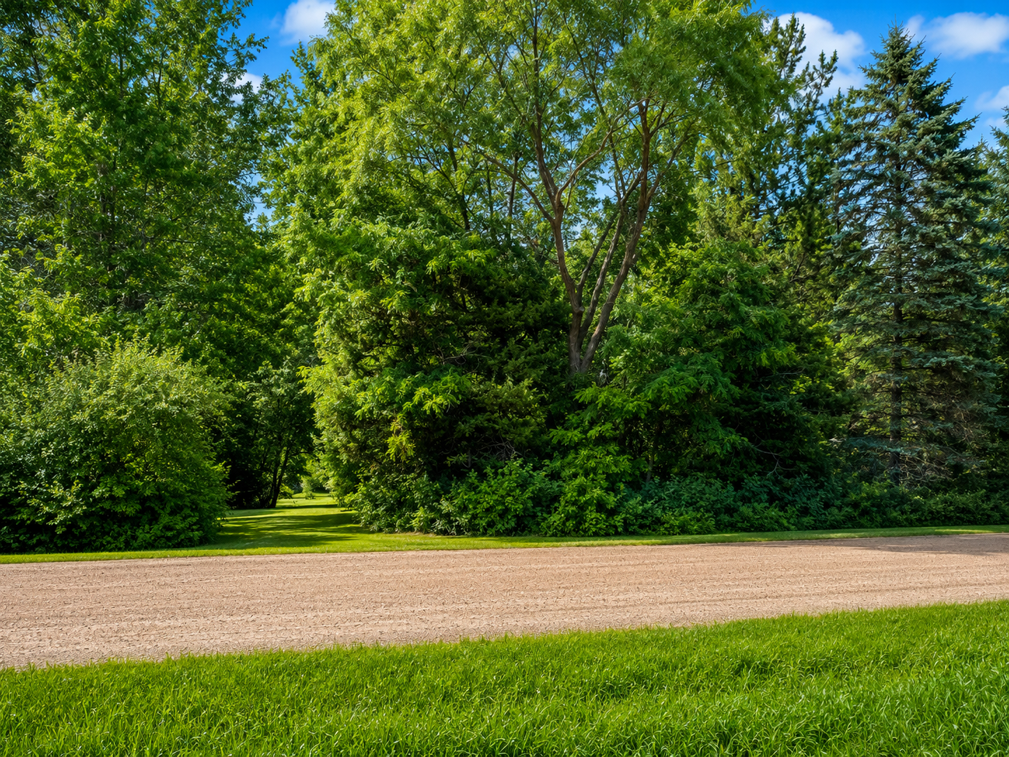 View of Land at 8159 Greer Avenue, Maple Lake MN 55358, Maple Lake (2 of 5) - Mike Wilen | Minnesota Team Real Estate