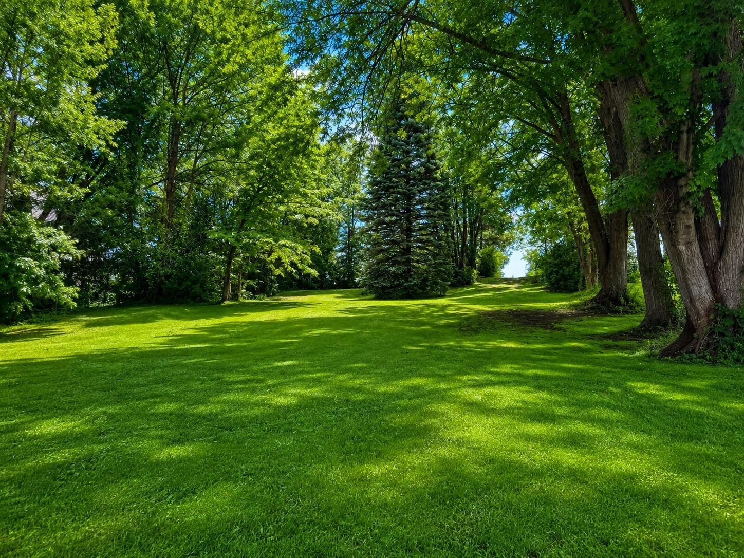View of Land at 8159 Greer Avenue, Maple Lake MN 55358, Maple Lake (4 of 5) - Mike Wilen | Minnesota Team Real Estate