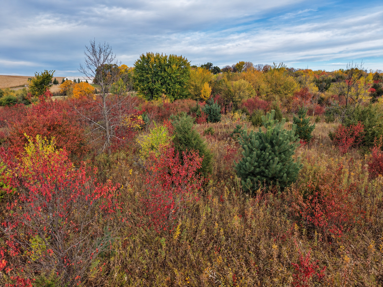 View of Land at 21435 Vergus Avenue, Prior Lake MN 55372, Prior Lake (8 of 10) - Mike Wilen | Minnesota Team Real Estate