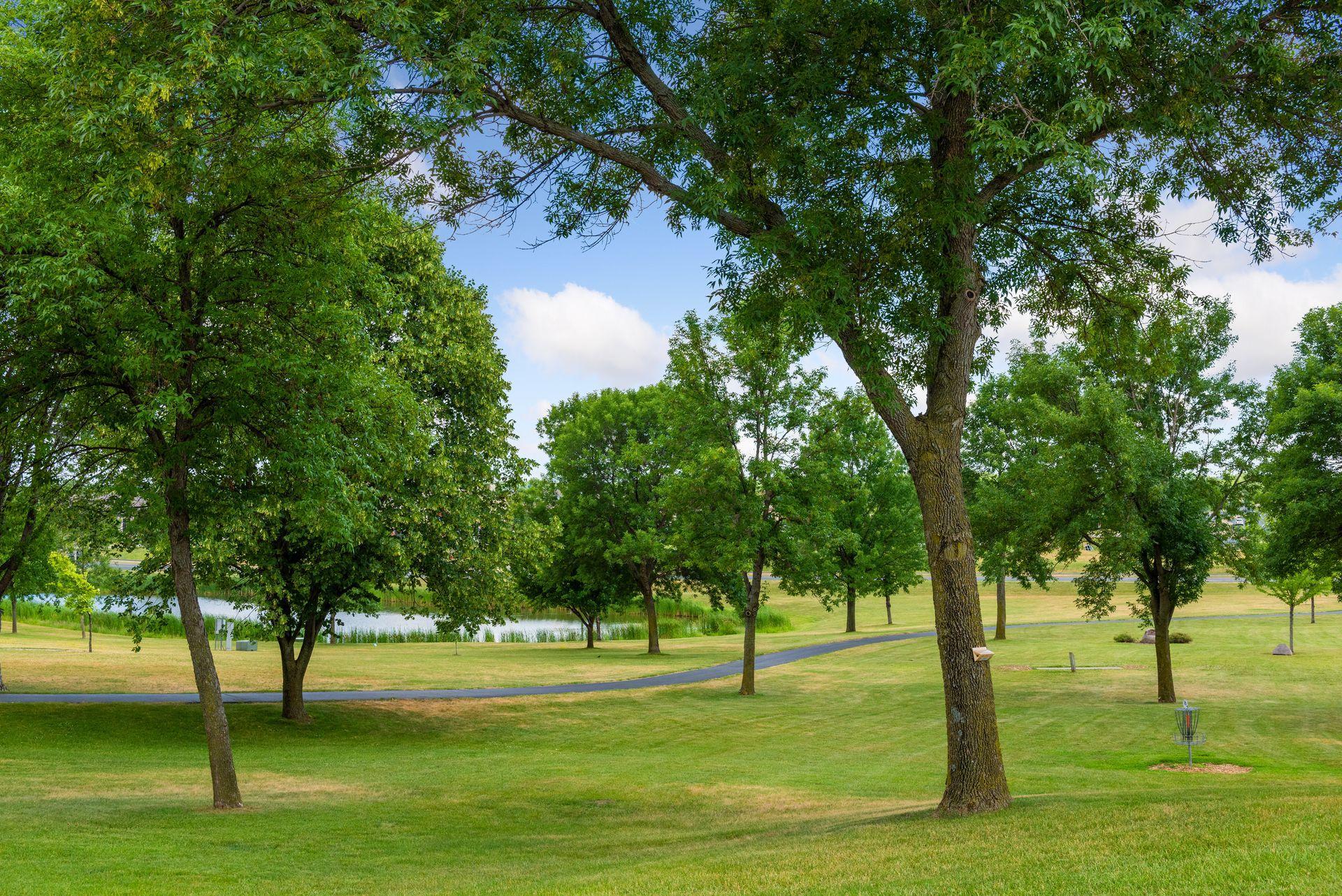 View of Residential at 702 Madison Street, Shakopee MN 55379, Shakopee (44 of 58) - Mike Wilen | Minnesota Team Real Estate