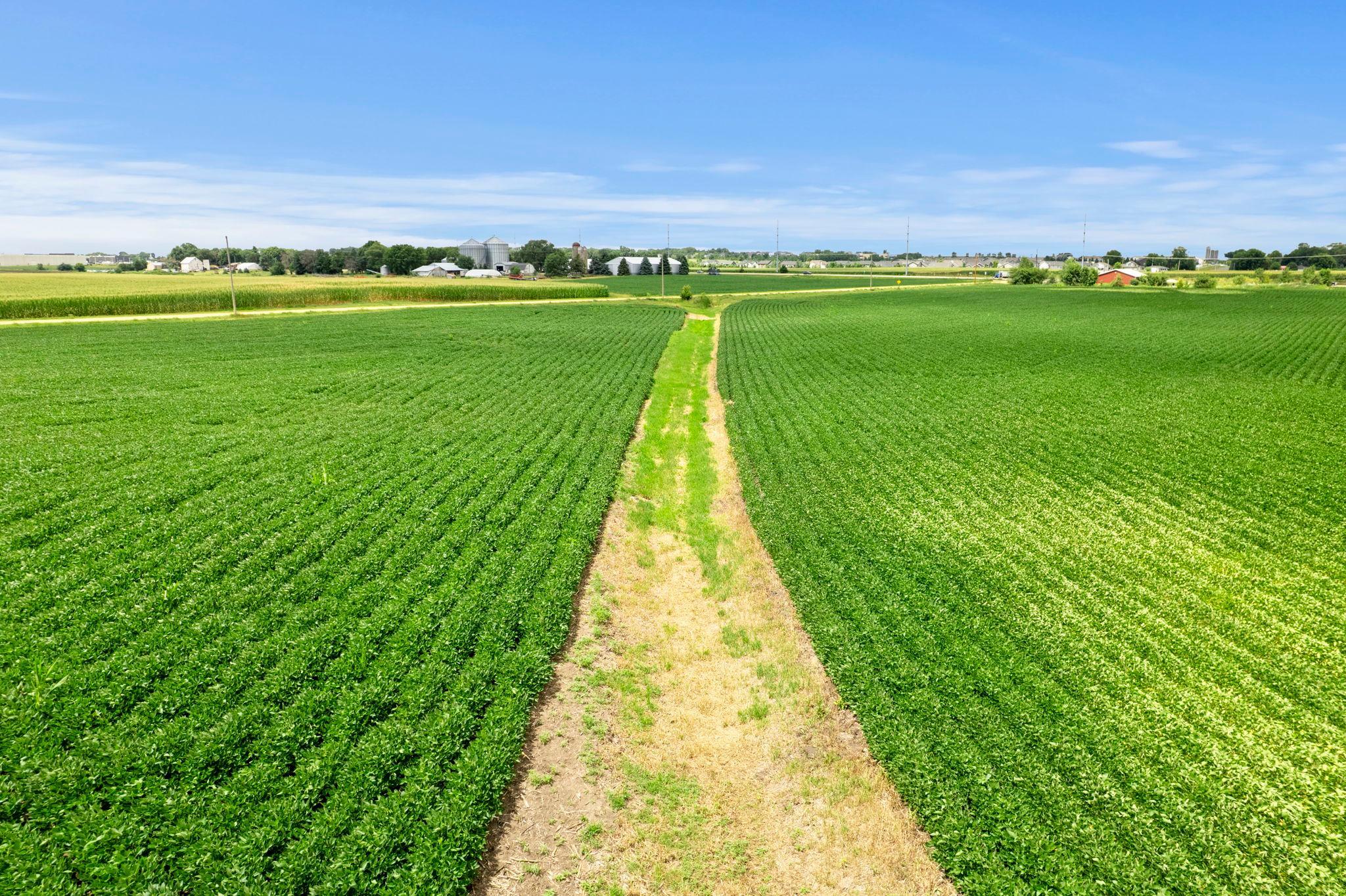 View of Land at 21300 Flagstaff Avenue, Farmington MN 55024, Farmington (23 of 28) - Mike Wilen | Minnesota Team Real Estate