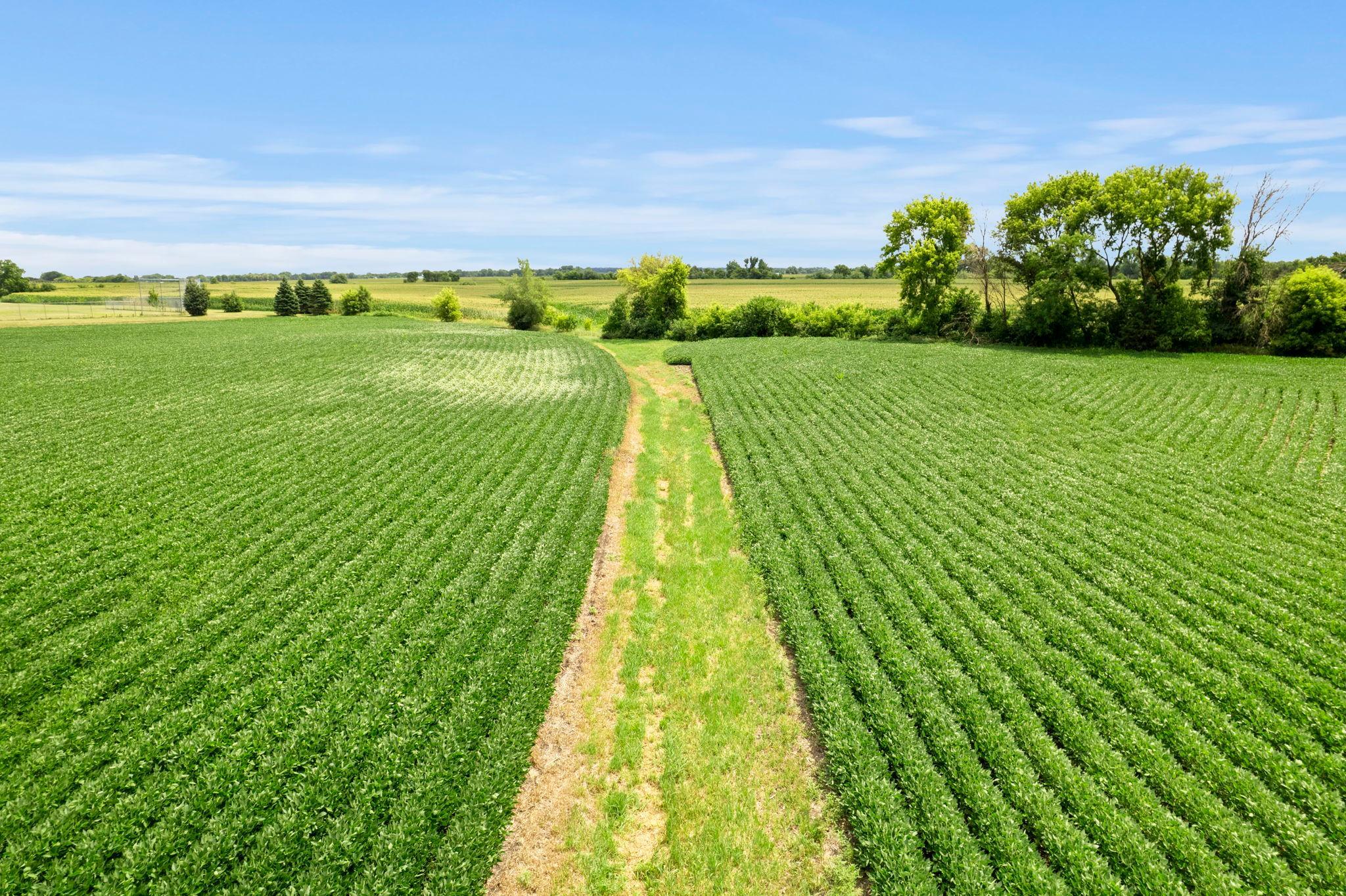 View of Land at 21300 Flagstaff Avenue, Farmington MN 55024, Farmington (22 of 28) - Mike Wilen | Minnesota Team Real Estate