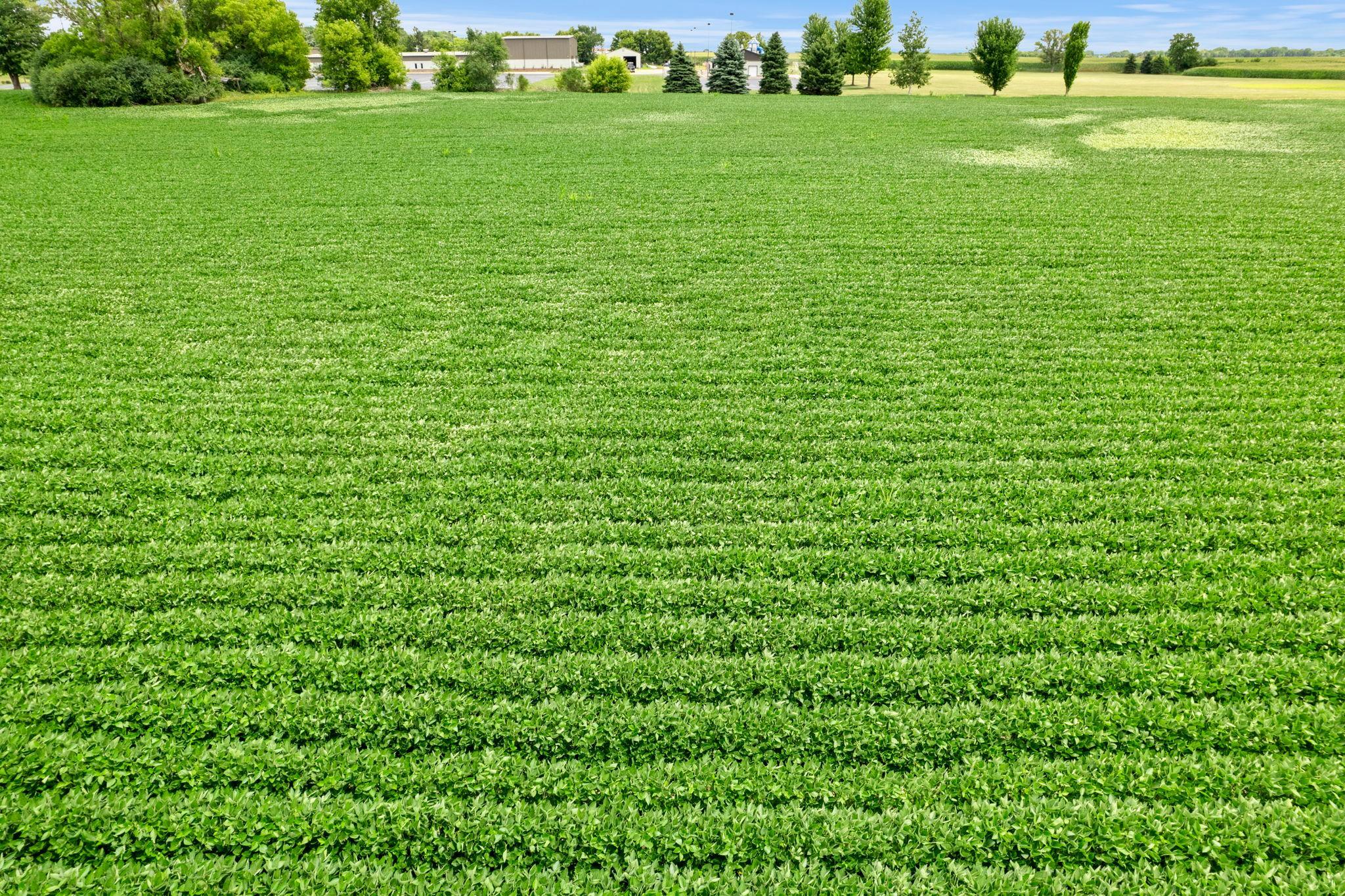 View of Land at 21300 Flagstaff Avenue, Farmington MN 55024, Farmington (21 of 28) - Mike Wilen | Minnesota Team Real Estate